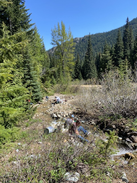 Member content 8 of 8