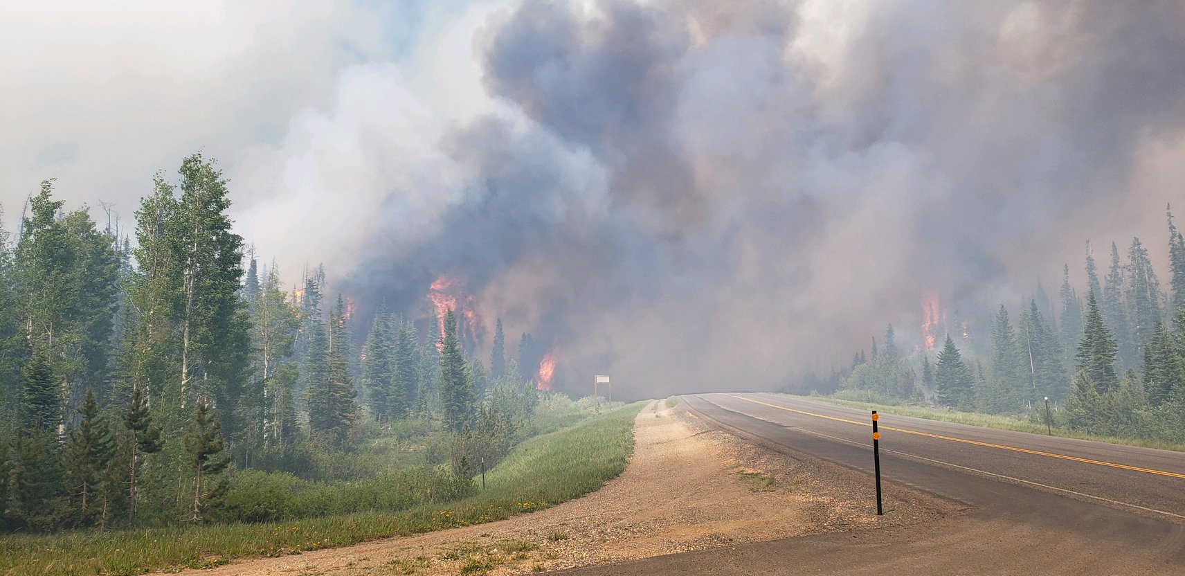 Member content 11 of 11