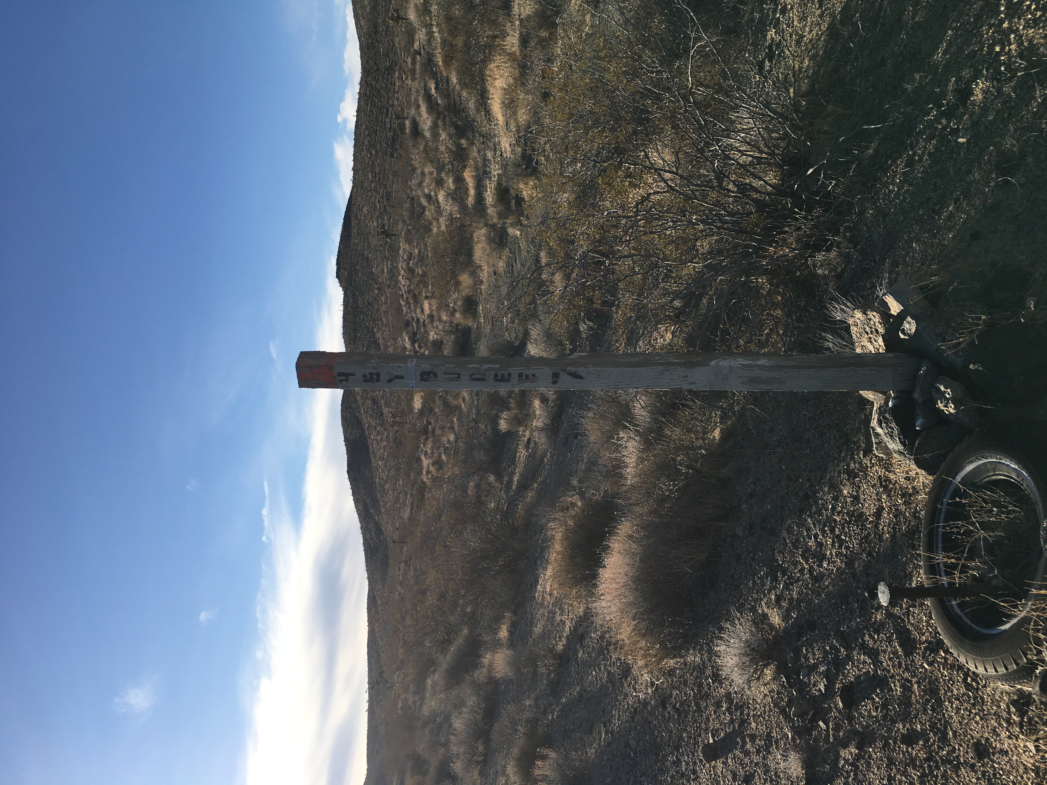 Member content 10 of 13