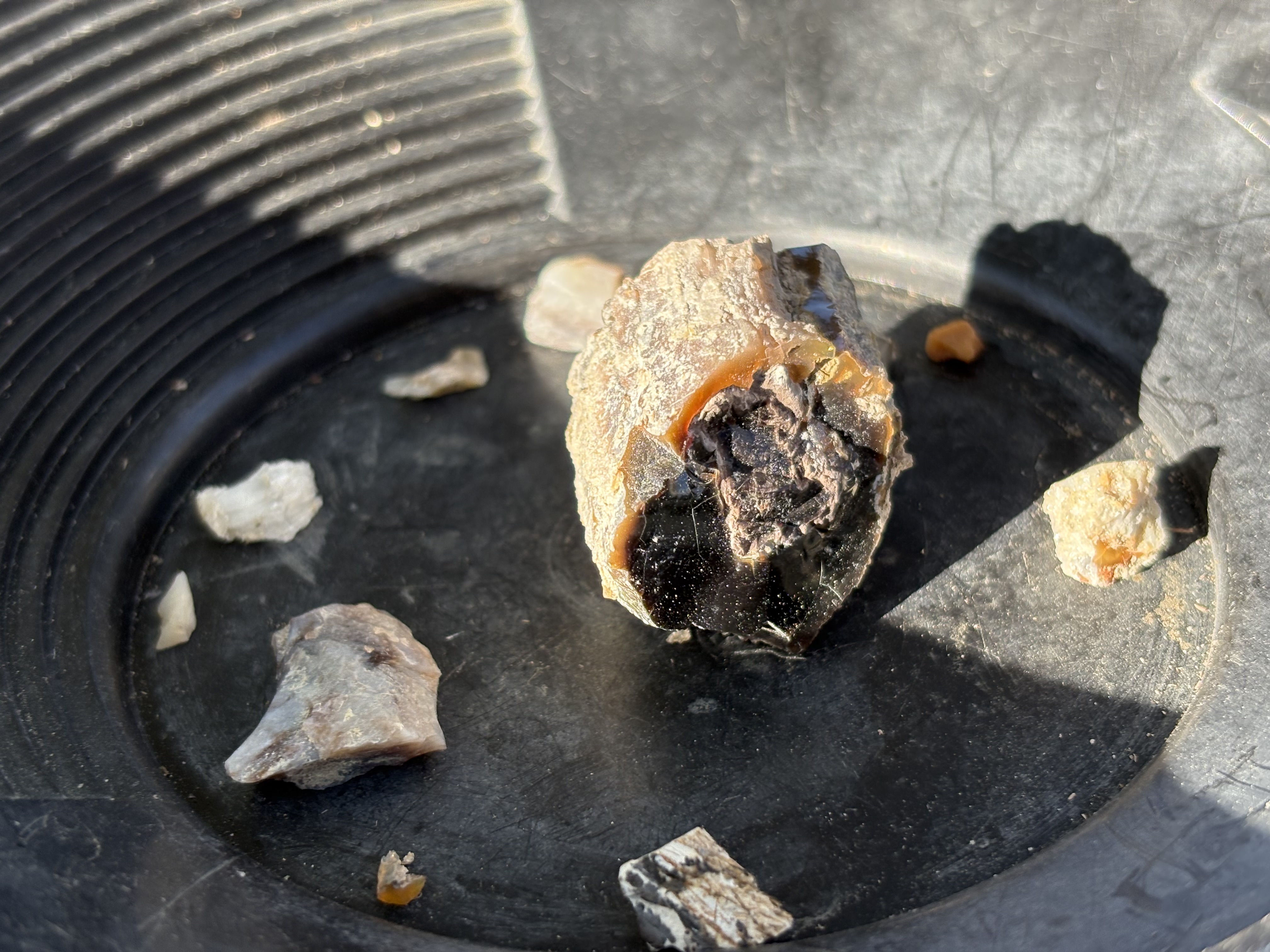 Member content 1 of 2