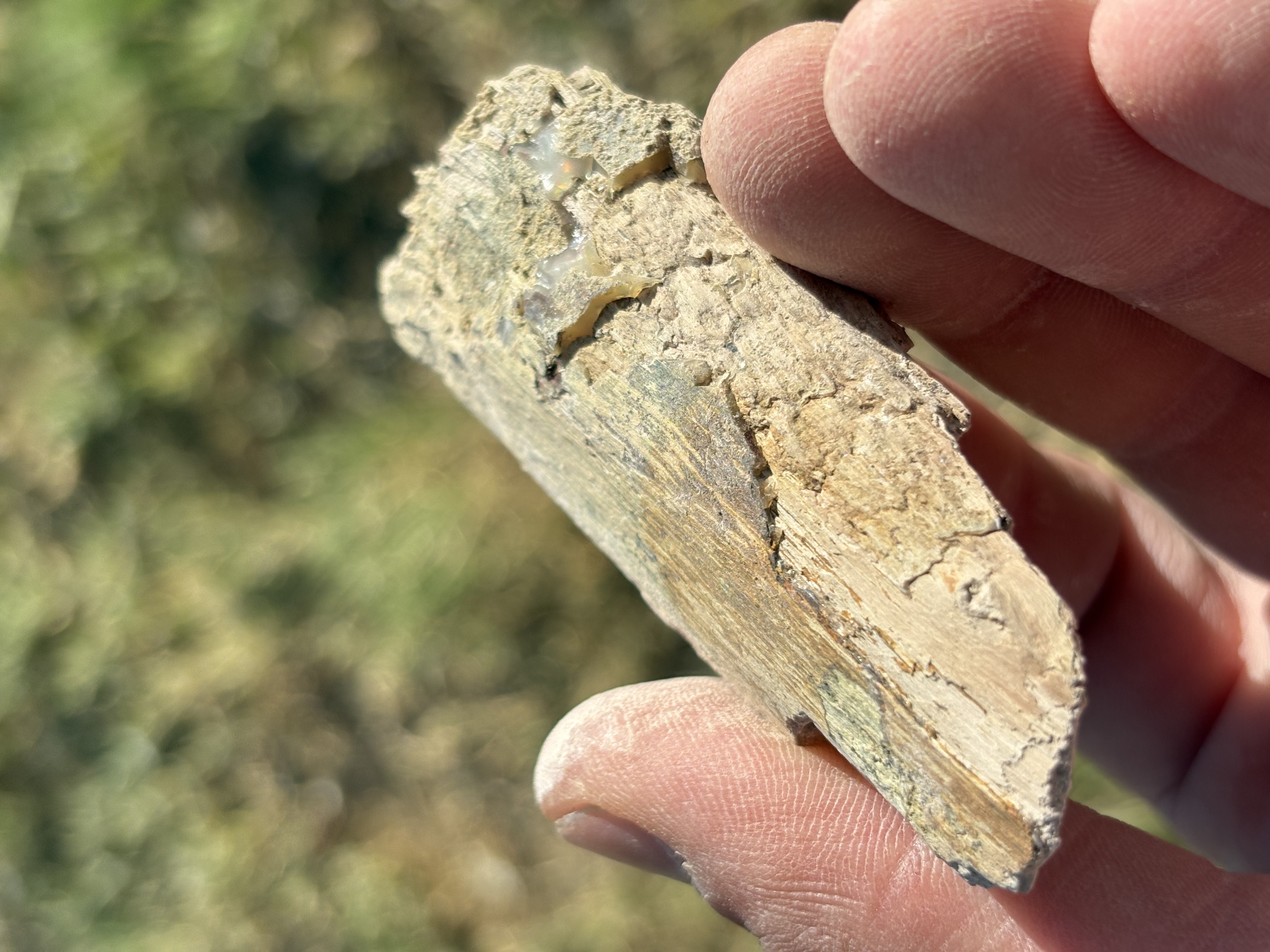 Member content 2 of 2