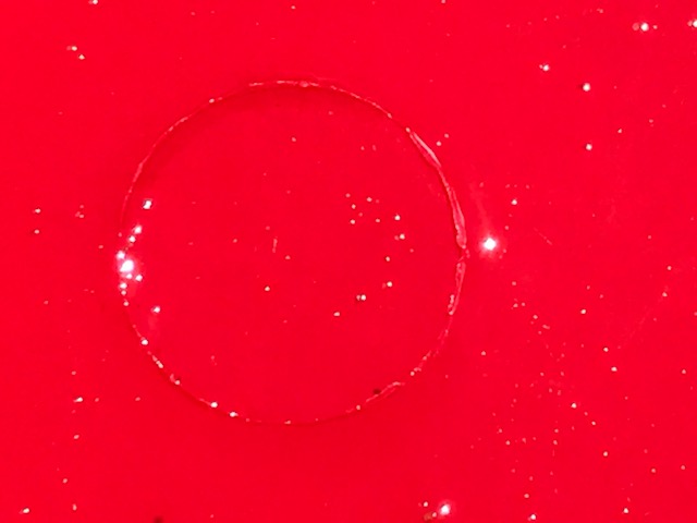 Member content 5 of 6