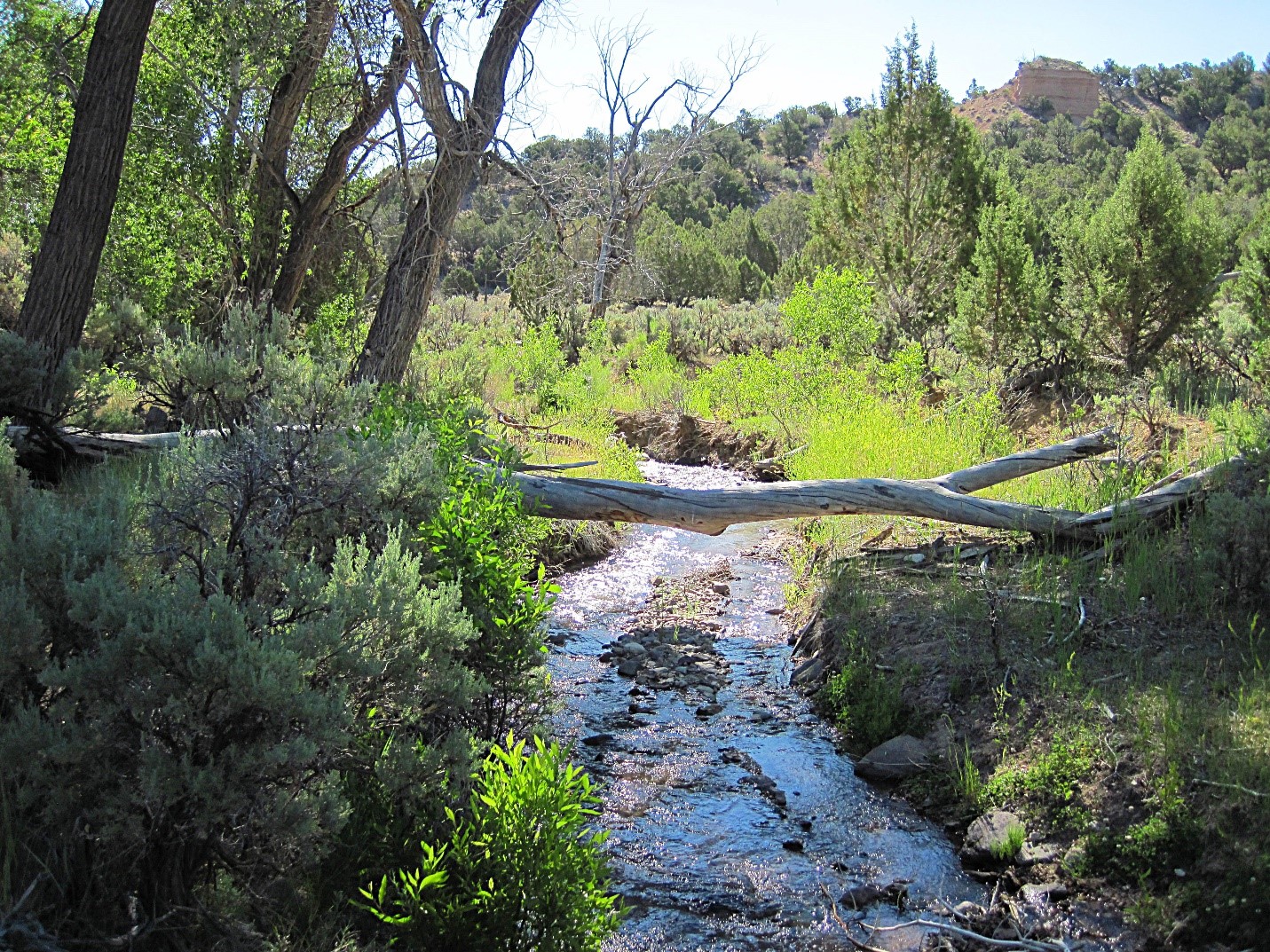 Member content 22 of 22