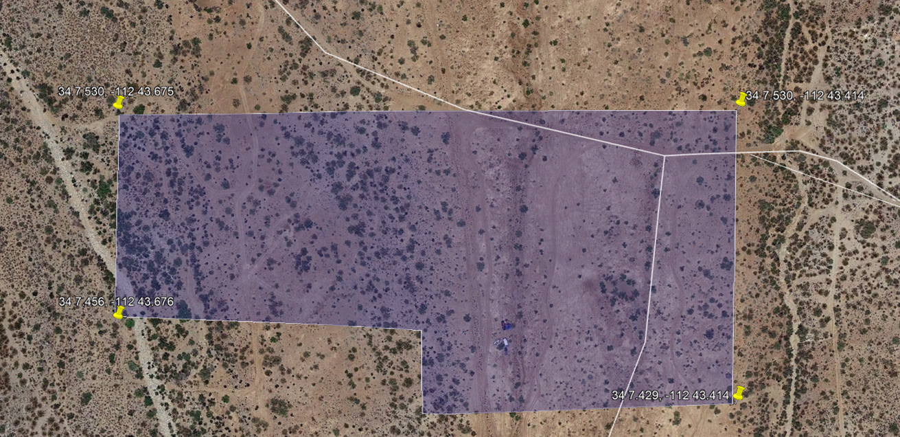 Member content 9 of 20