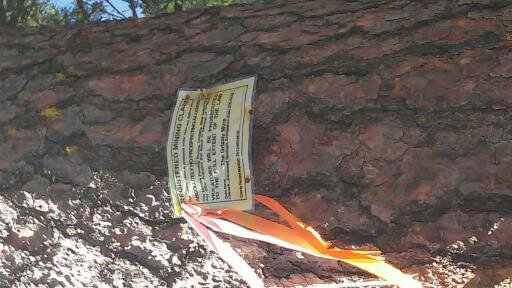 Member content 15 of 23