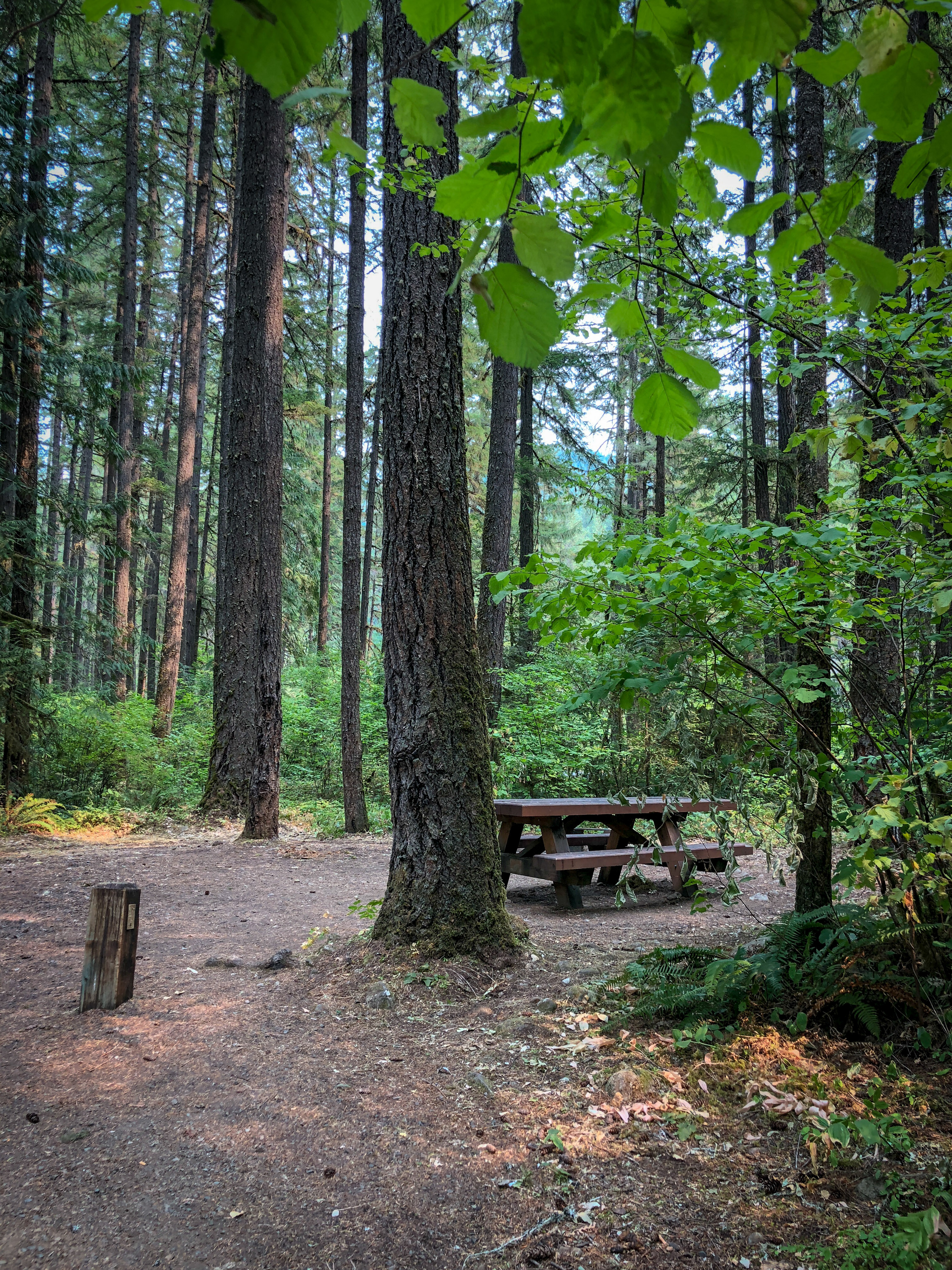 Member content 7 of 8