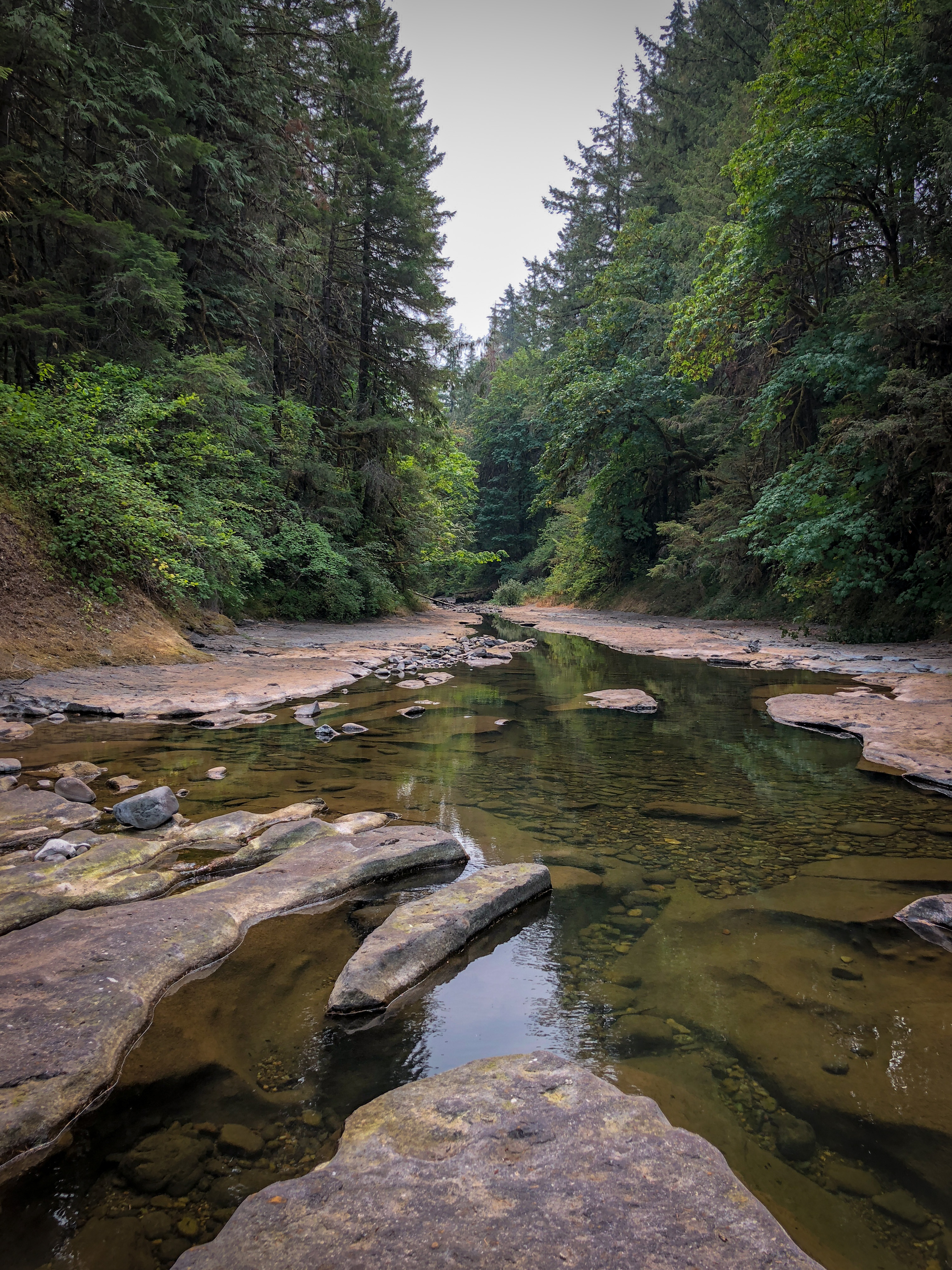 Member content 8 of 8