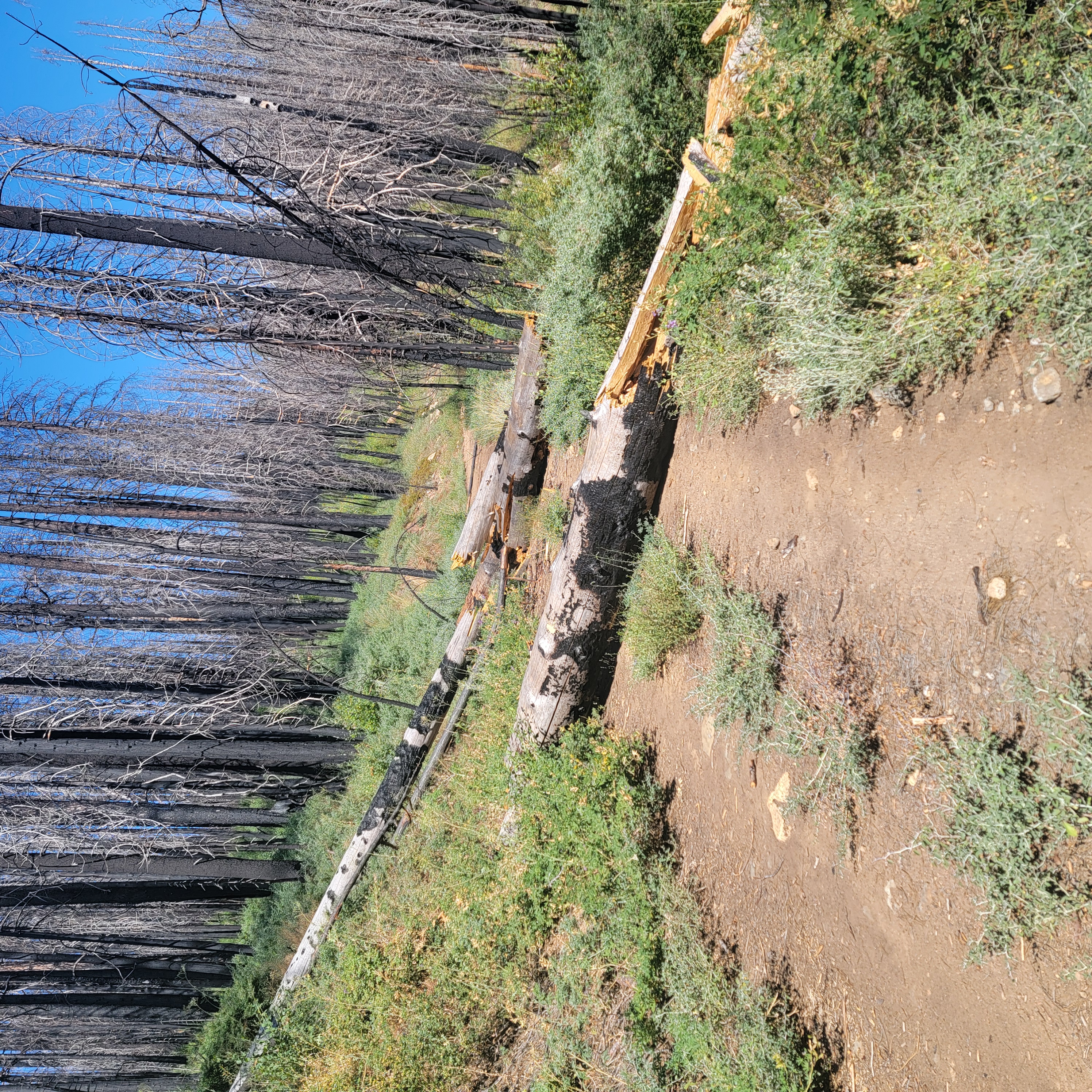 Member content 4 of 4