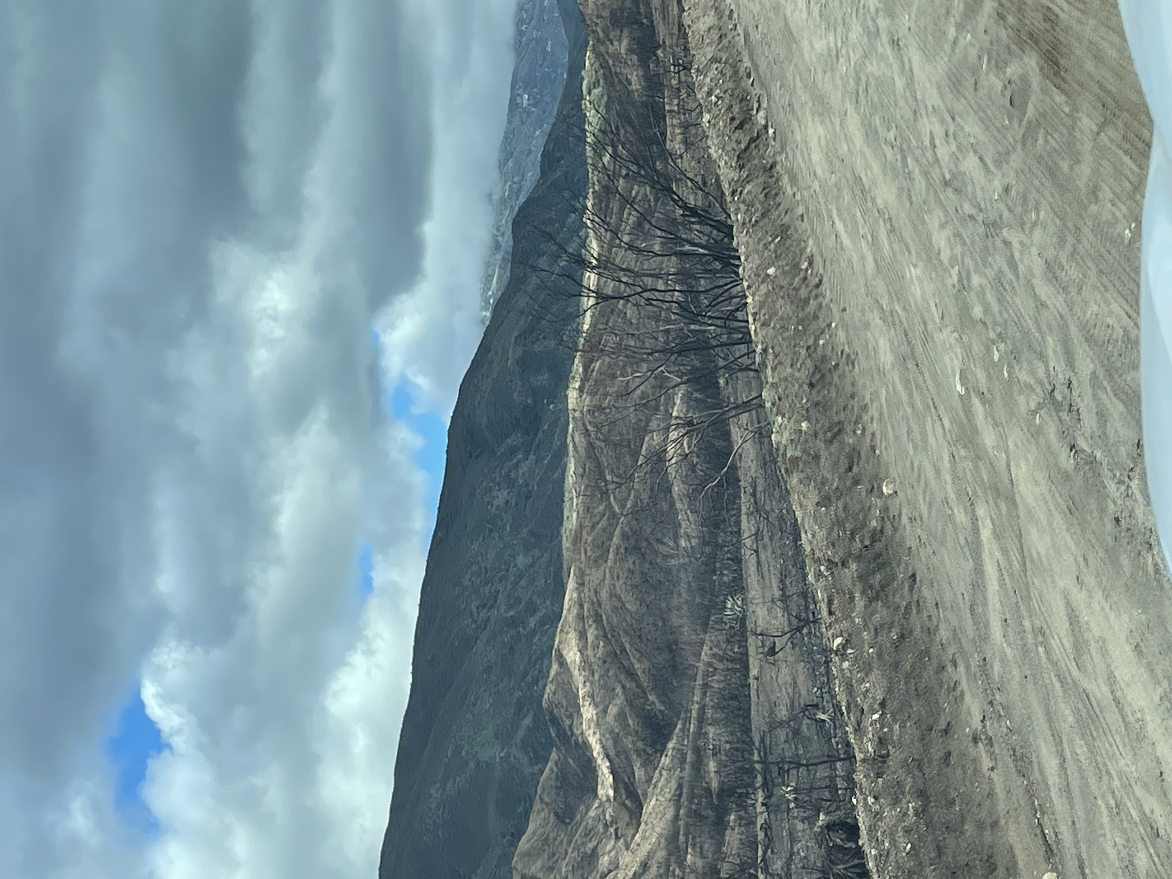 Member content 25 of 27