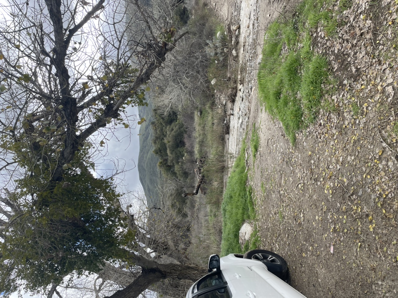 Member content 27 of 27