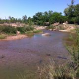 Member content 8 of 12