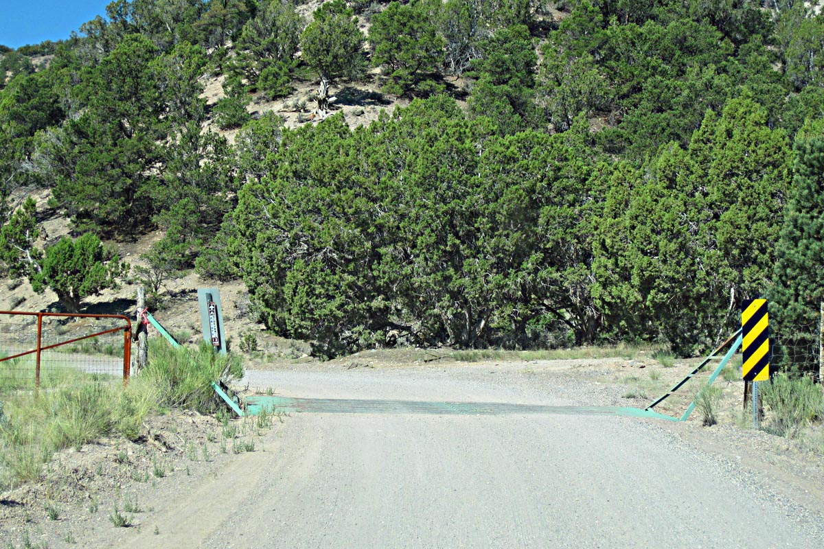 Member content 14 of 22