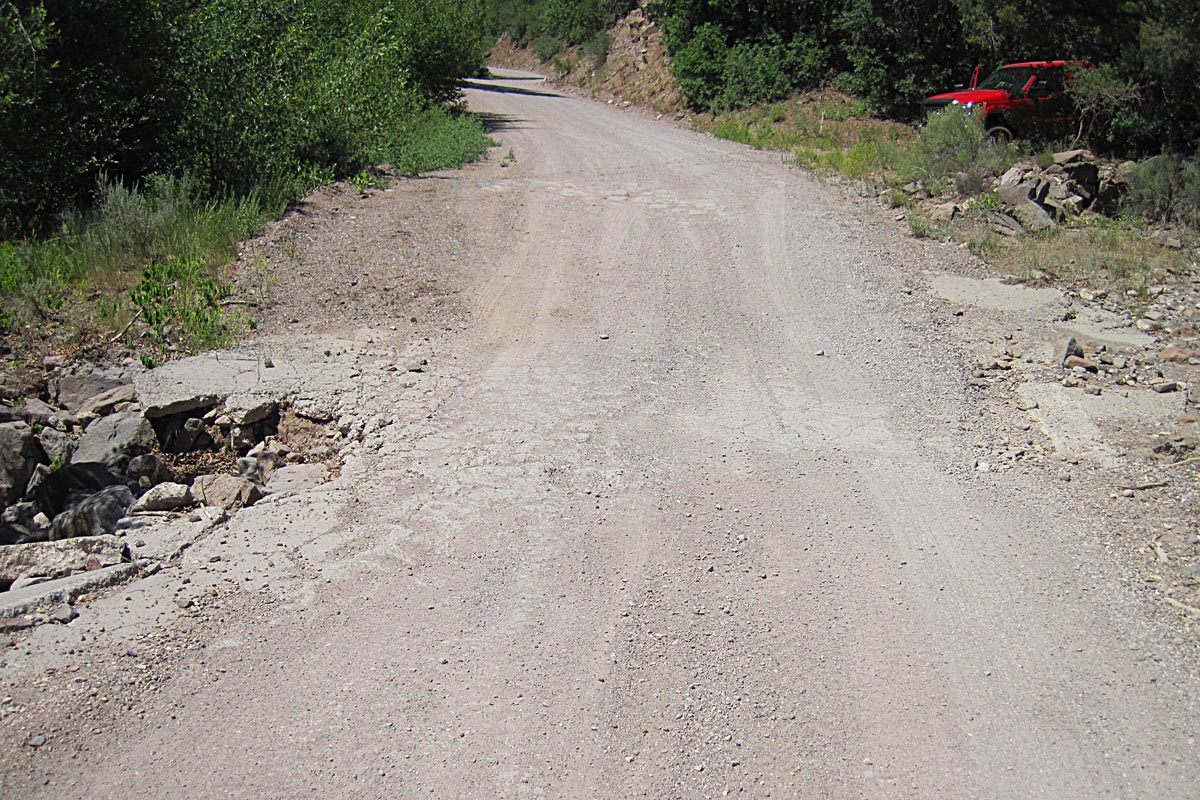 Member content 16 of 22