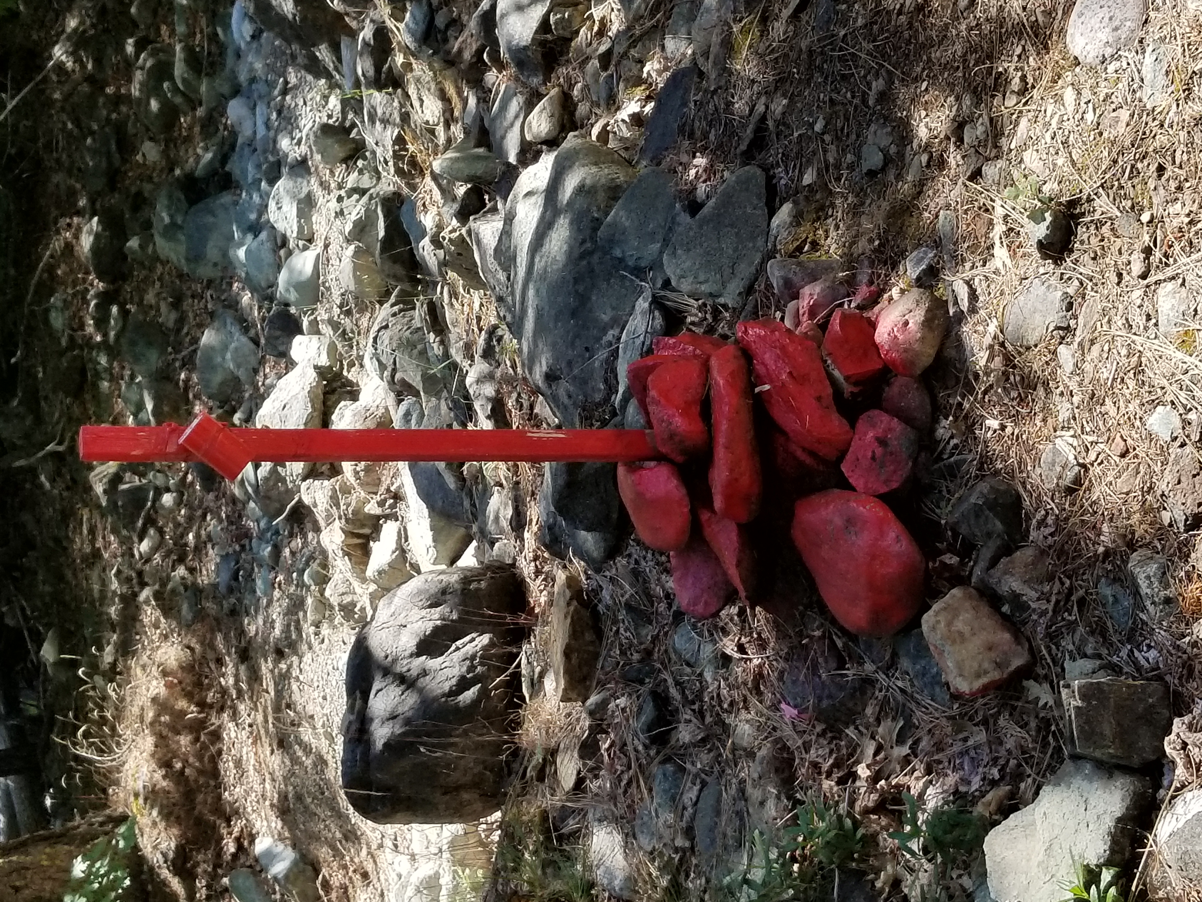 Member content 17 of 23