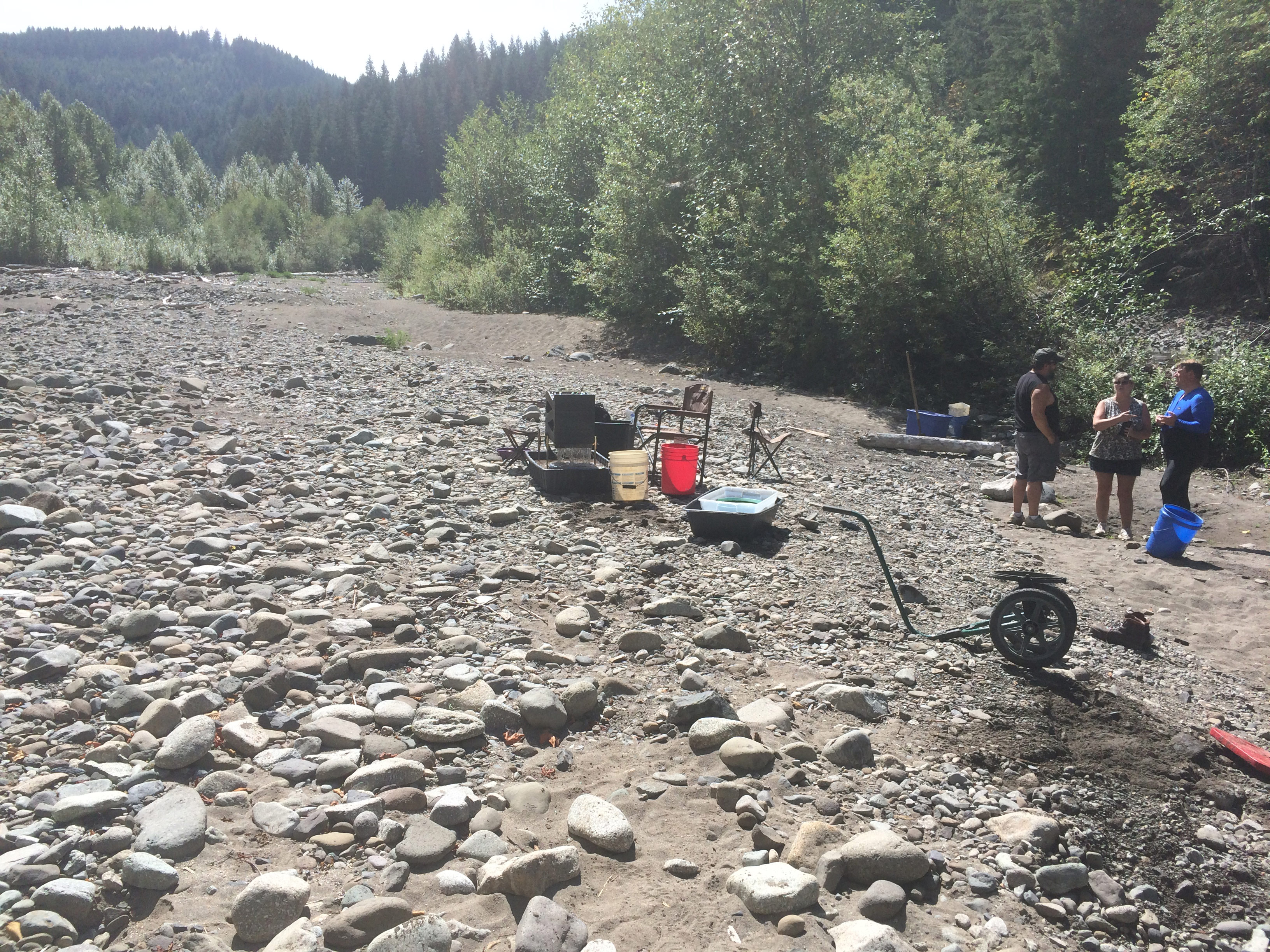 Member content 3 of 5