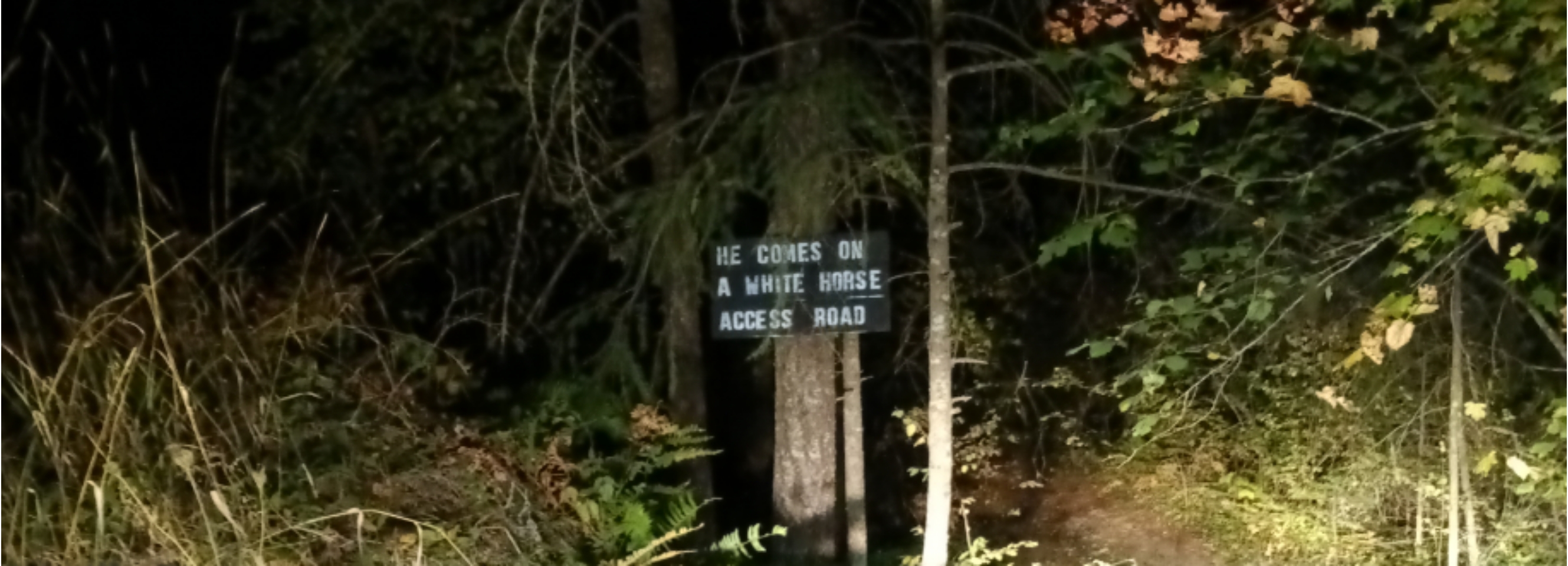 Member content 7 of 8