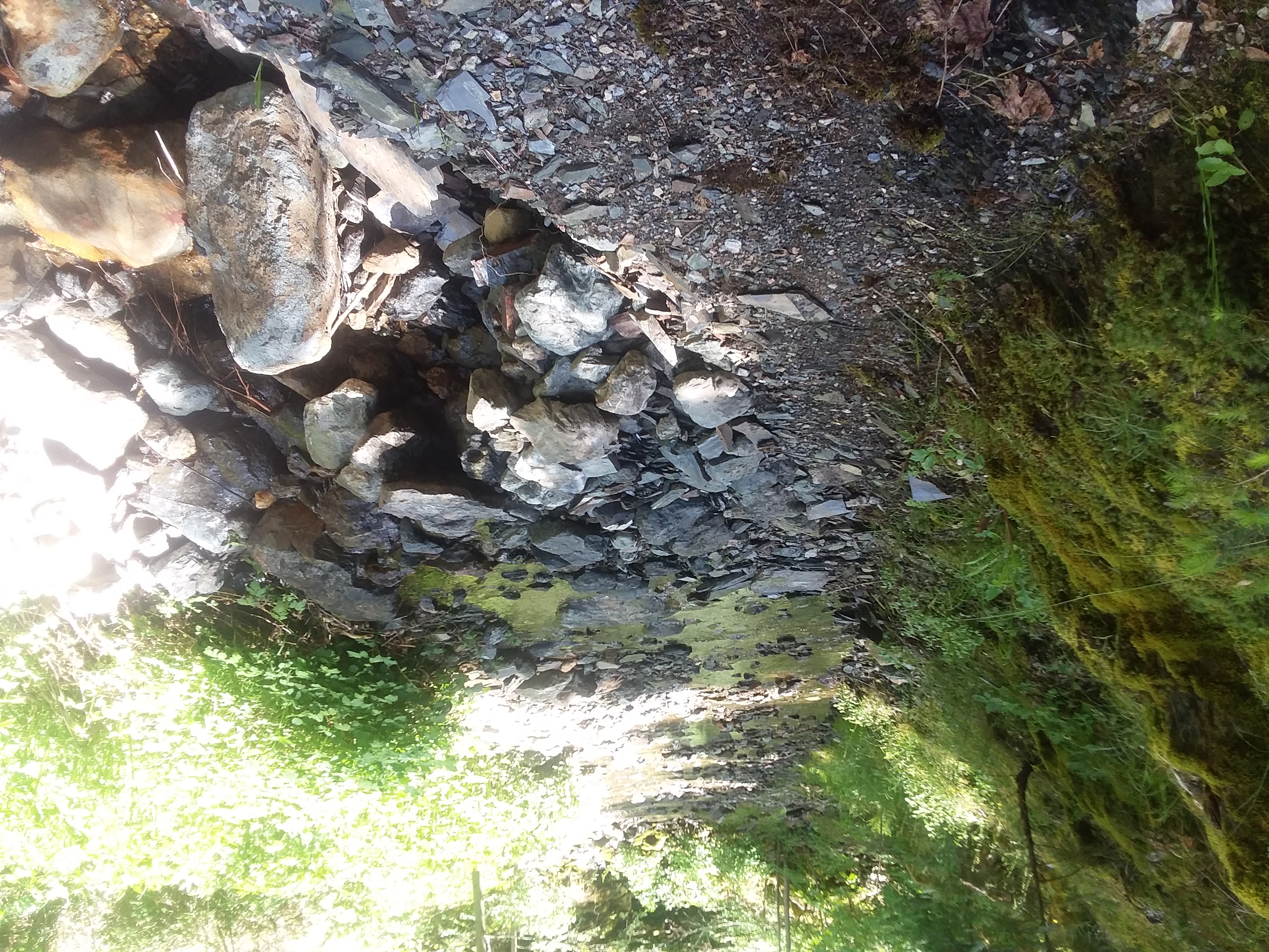 Member content 11 of 12