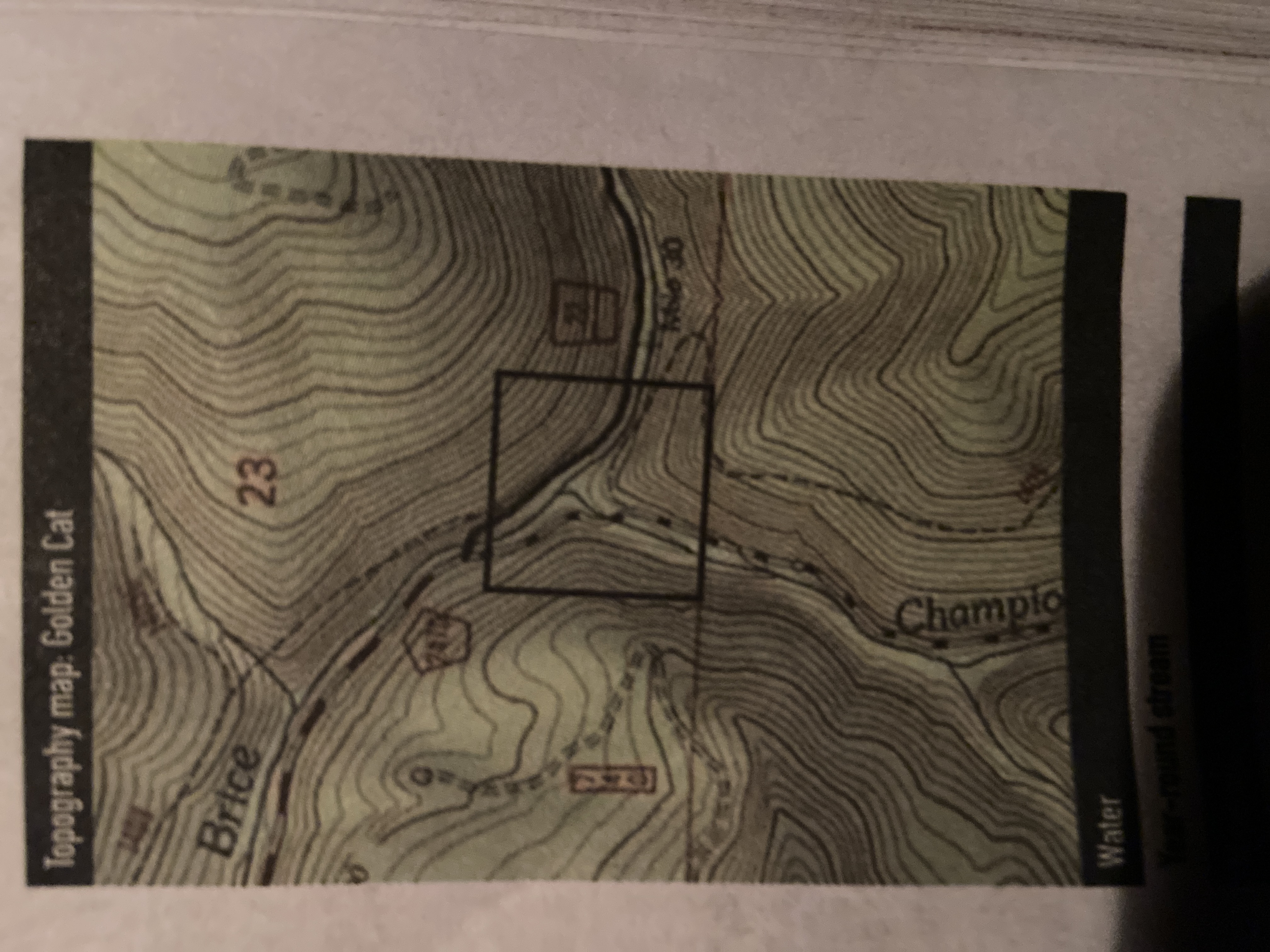 Member content 3 of 3