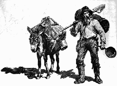 Member content 14 of 14