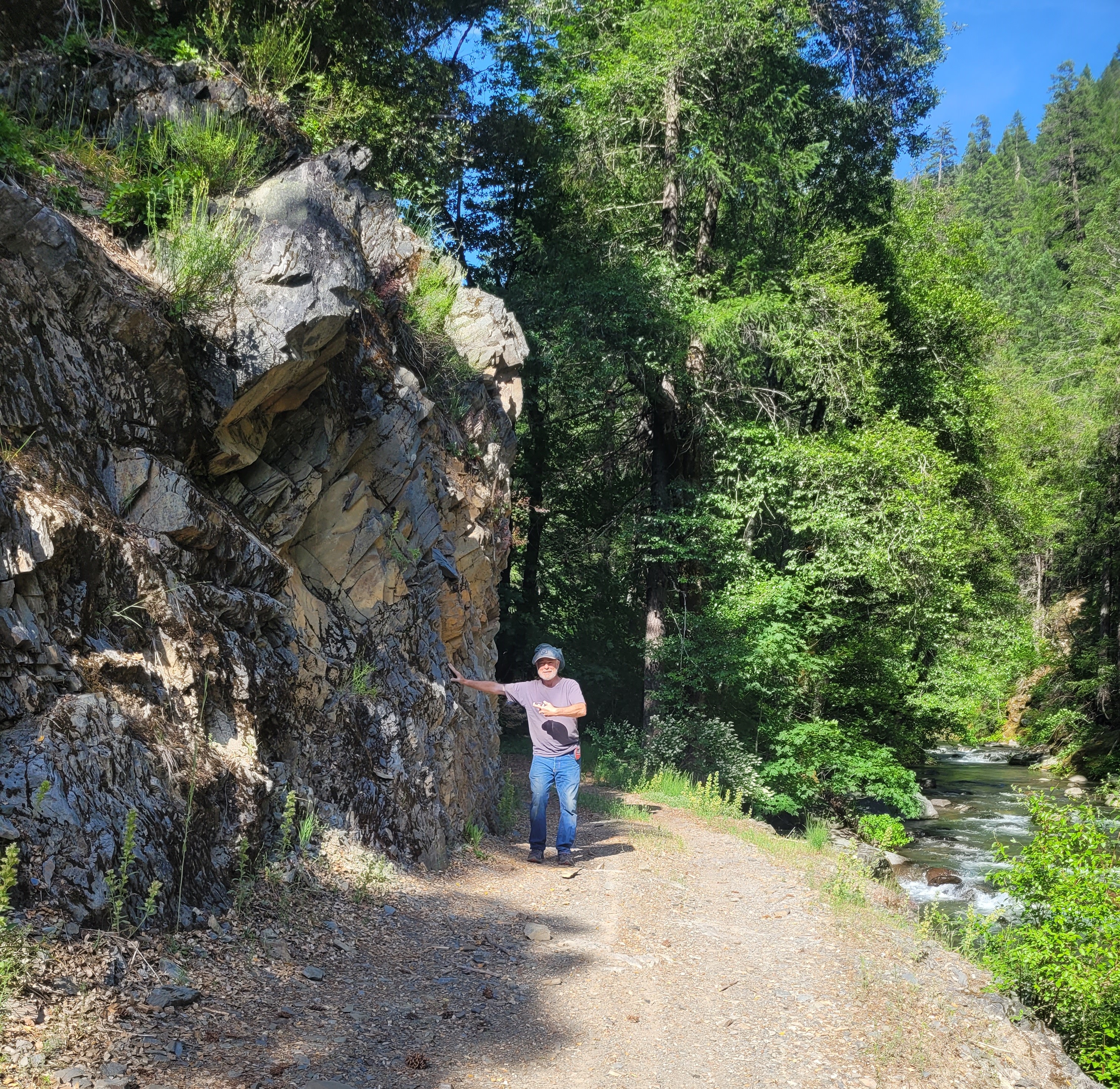 Member content 12 of 12