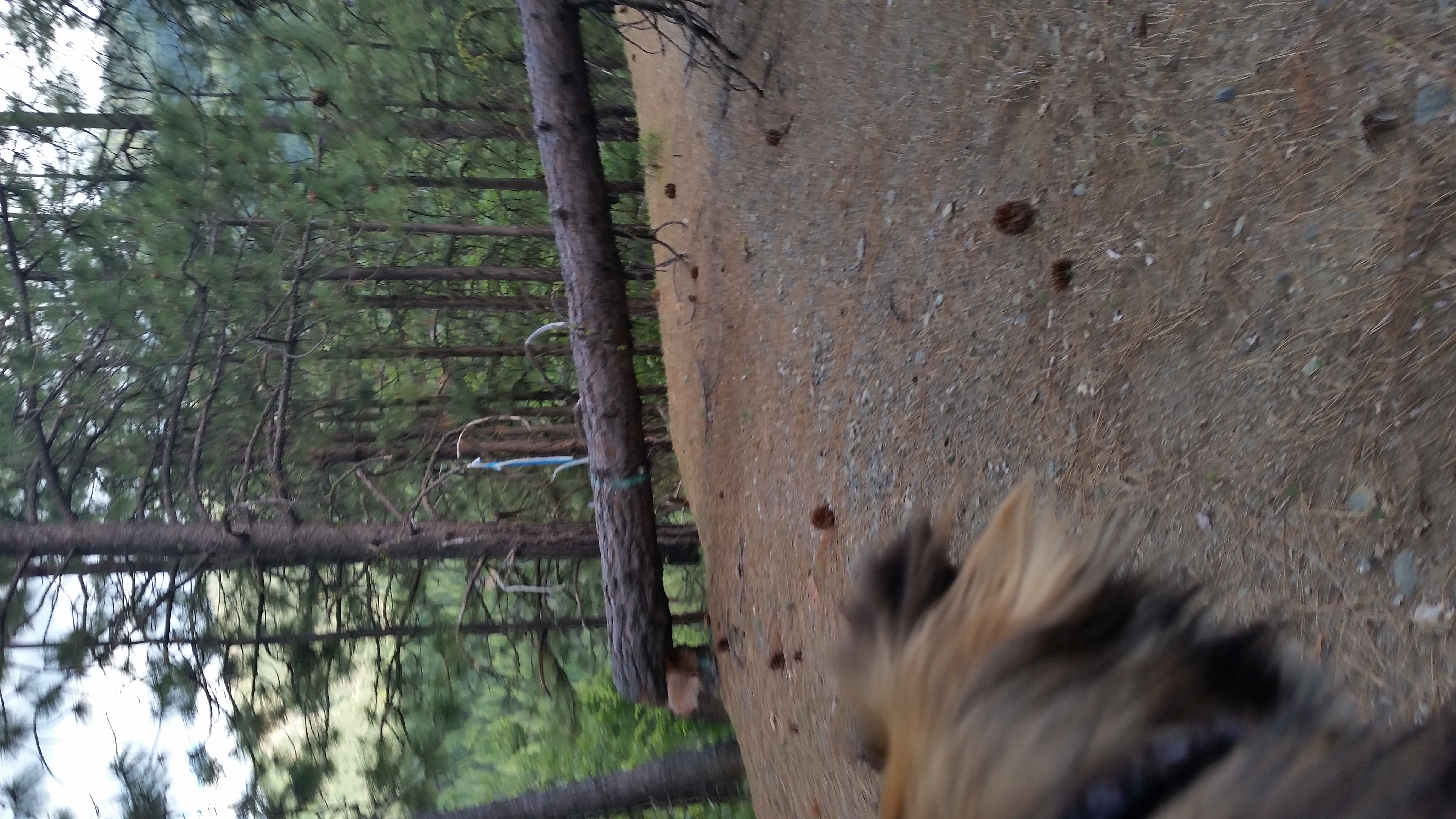 Member content 1 of 2