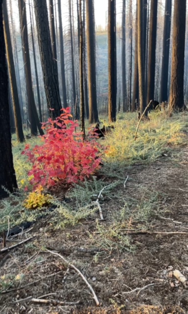 Member content 3 of 4