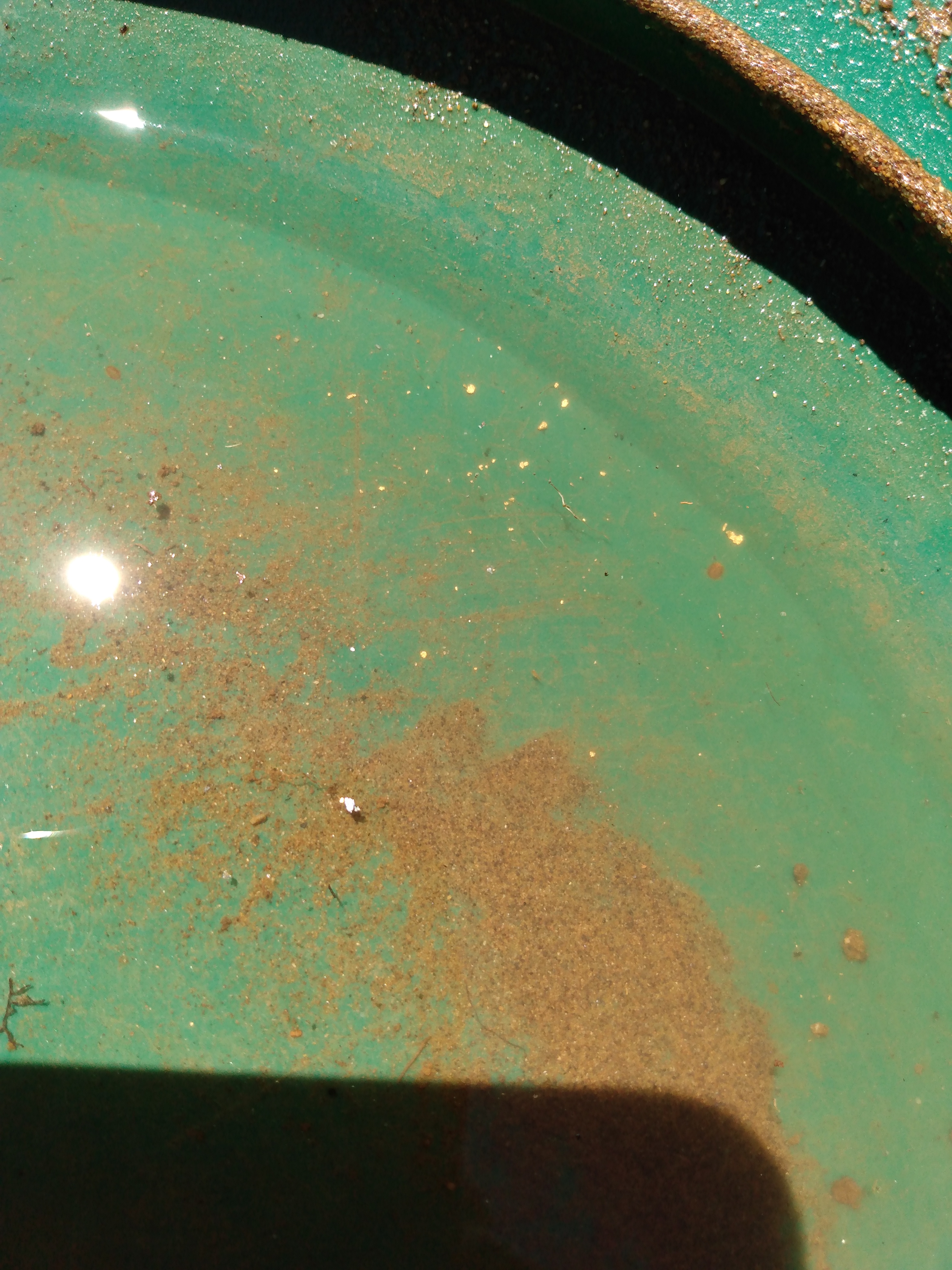 Member content 24 of 25