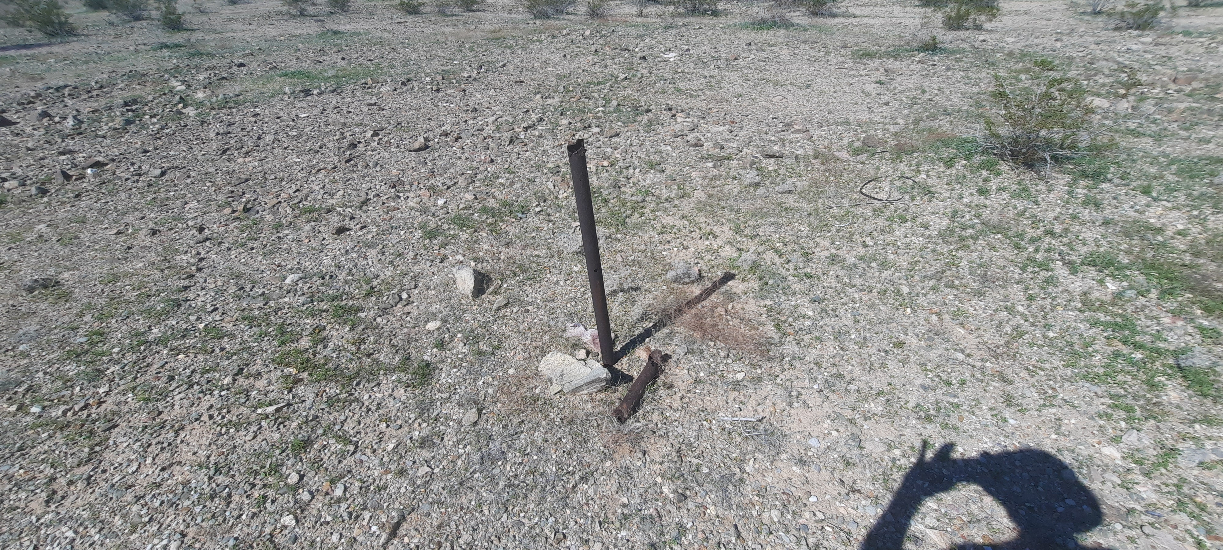 Member content 11 of 12