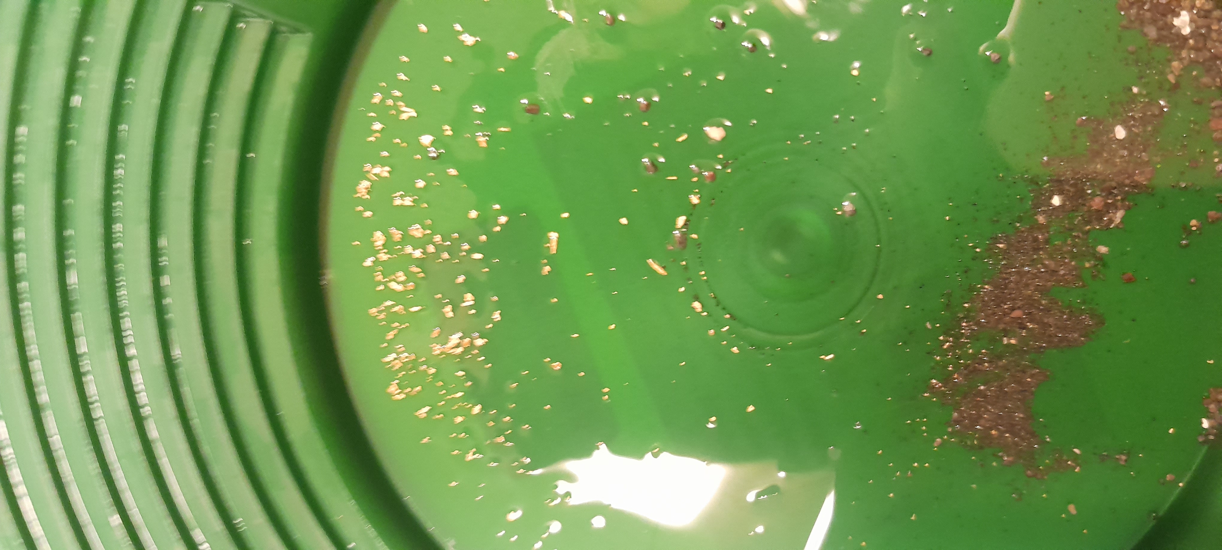 Member content 7 of 9