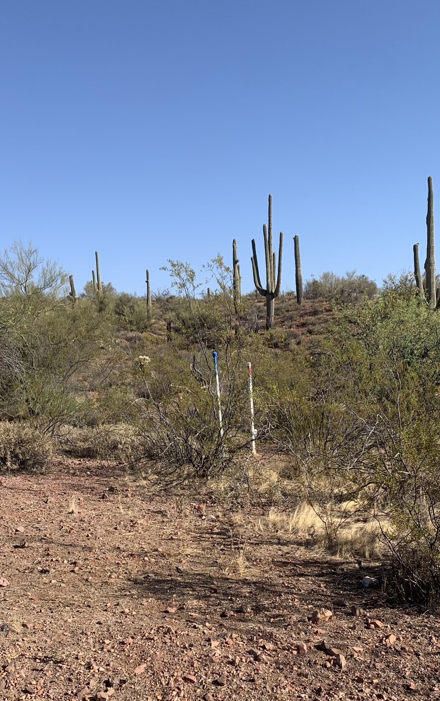 Member content 8 of 8