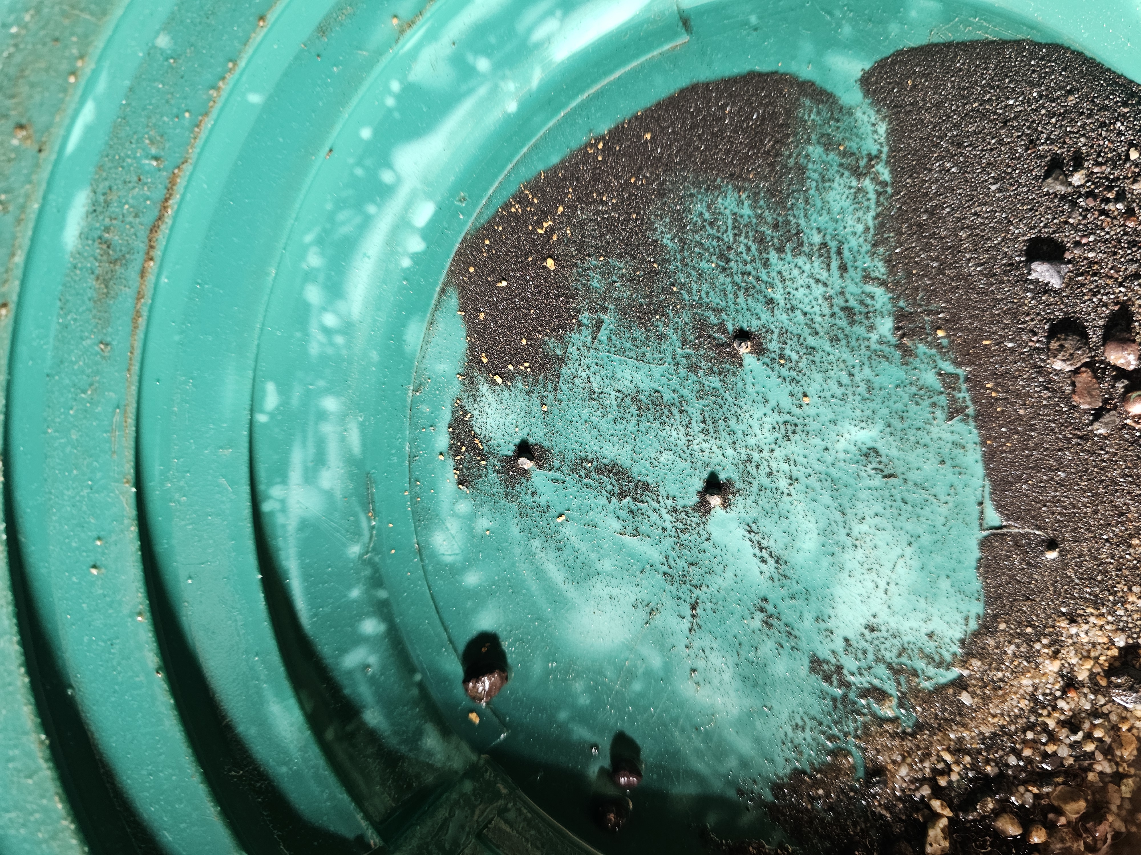 Member content 97 of 97