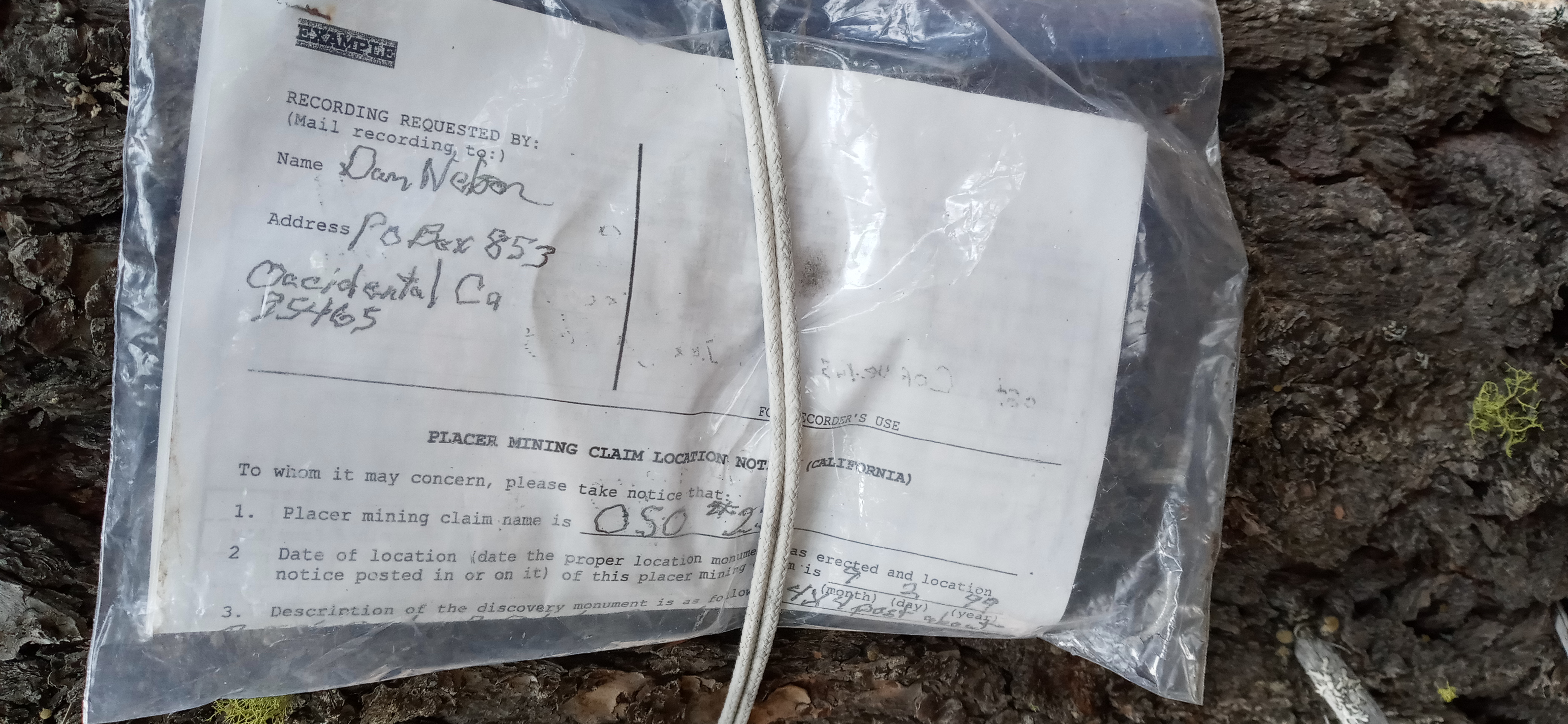 Member content 4 of 5