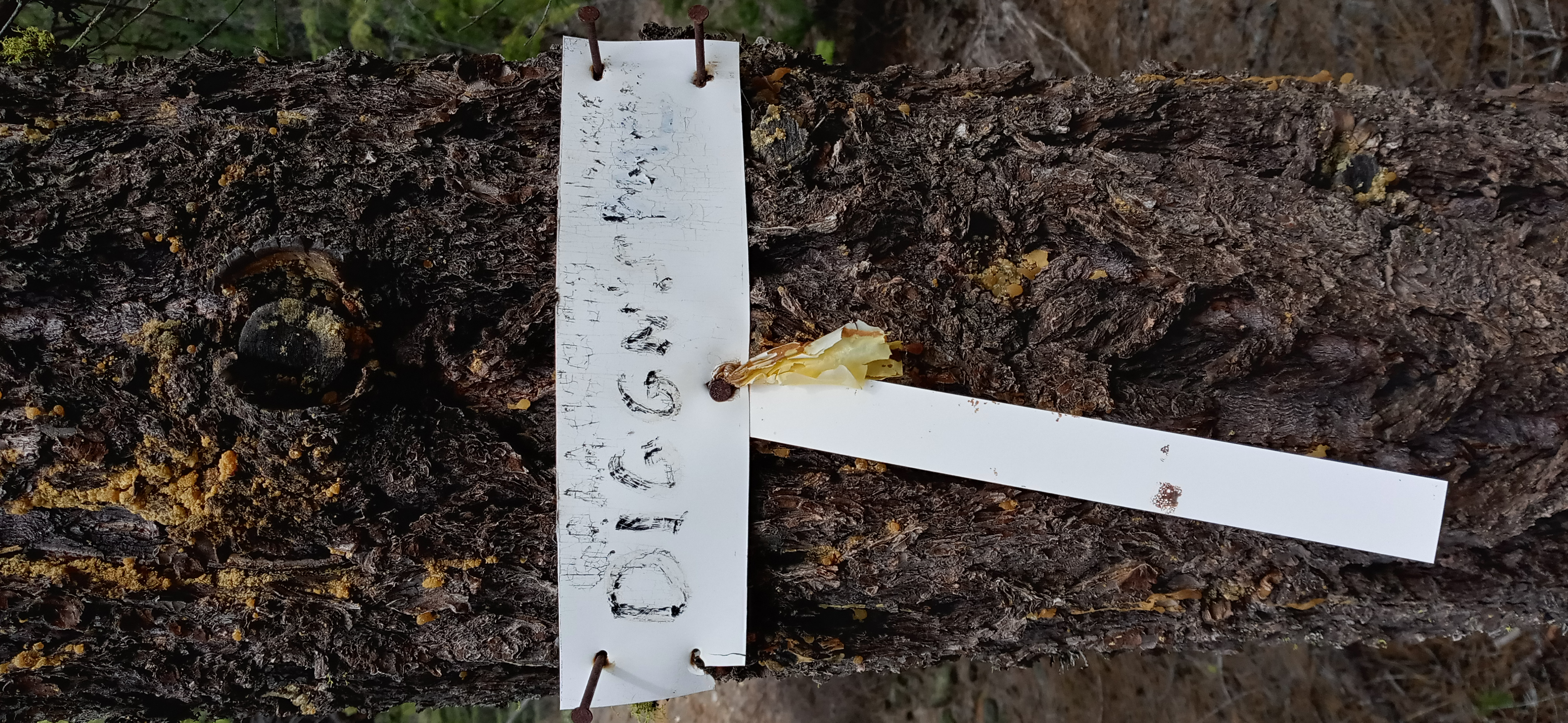 Member content 5 of 5