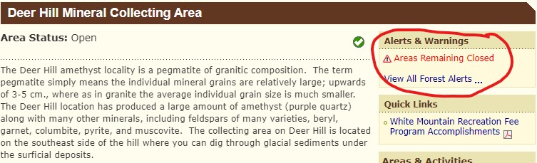 Member content 1 of 1