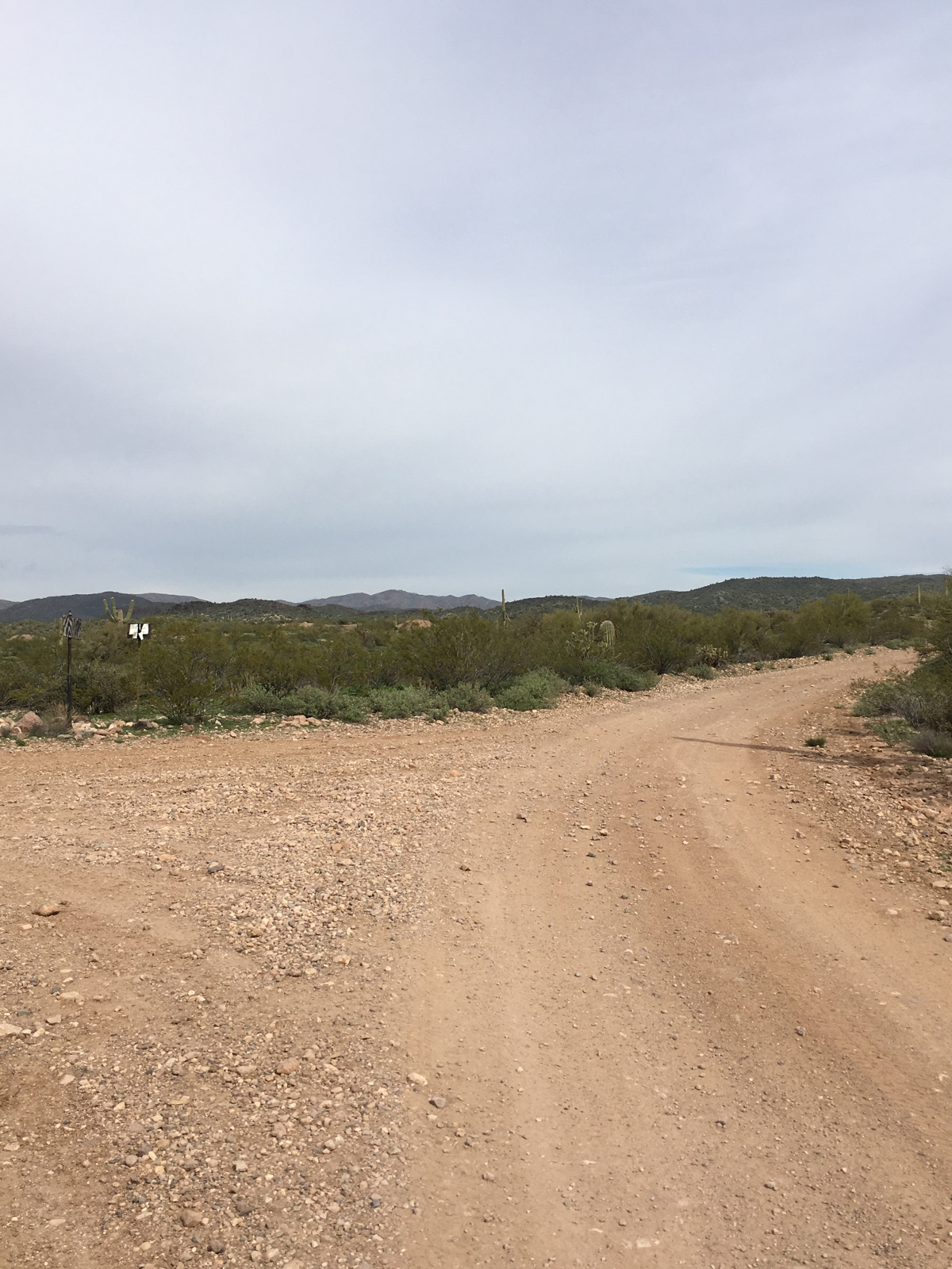 Member content 31 of 41