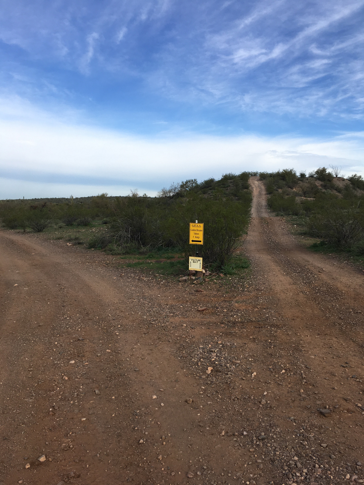 Member content 32 of 41