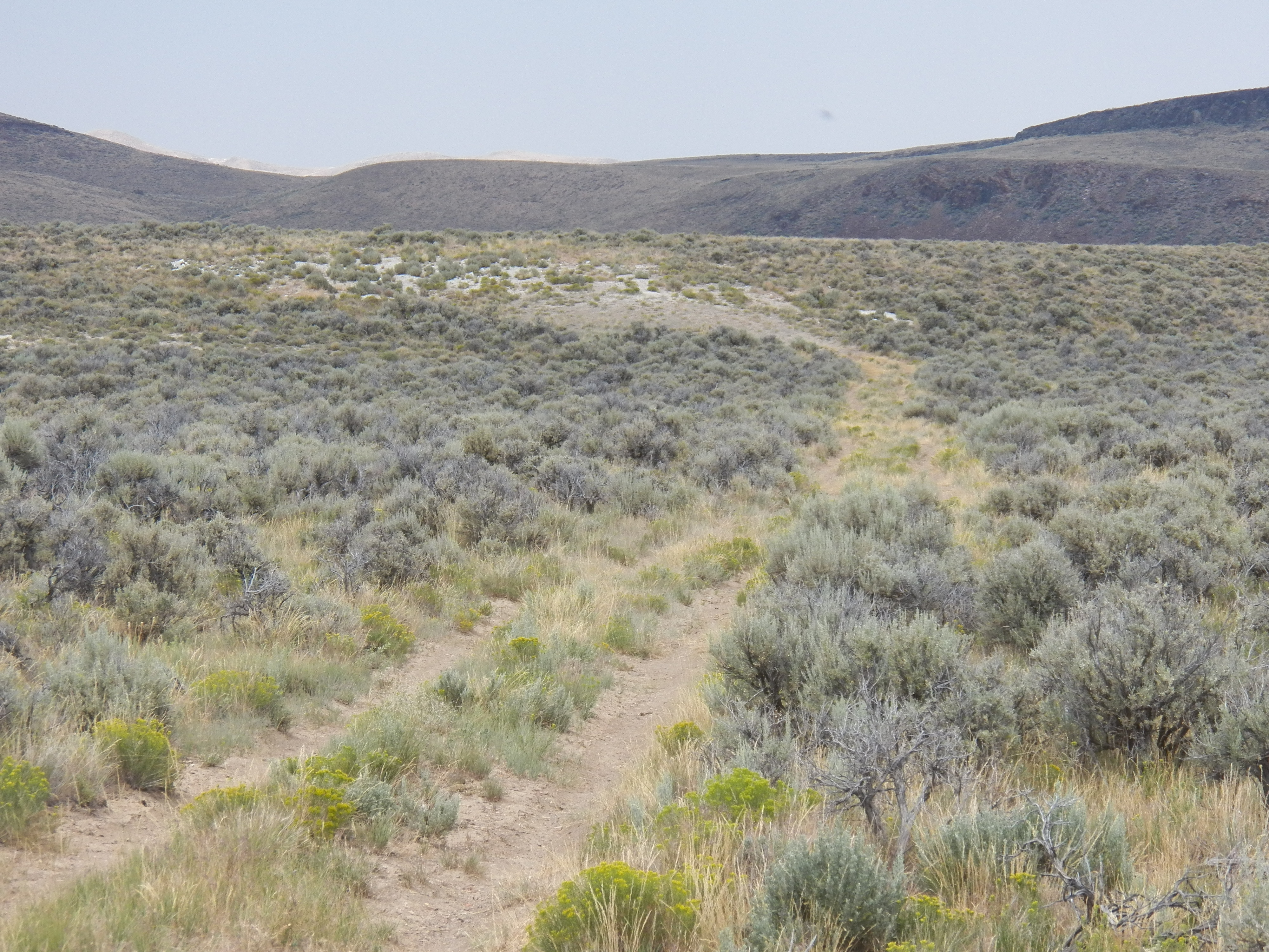 Member content 6 of 9