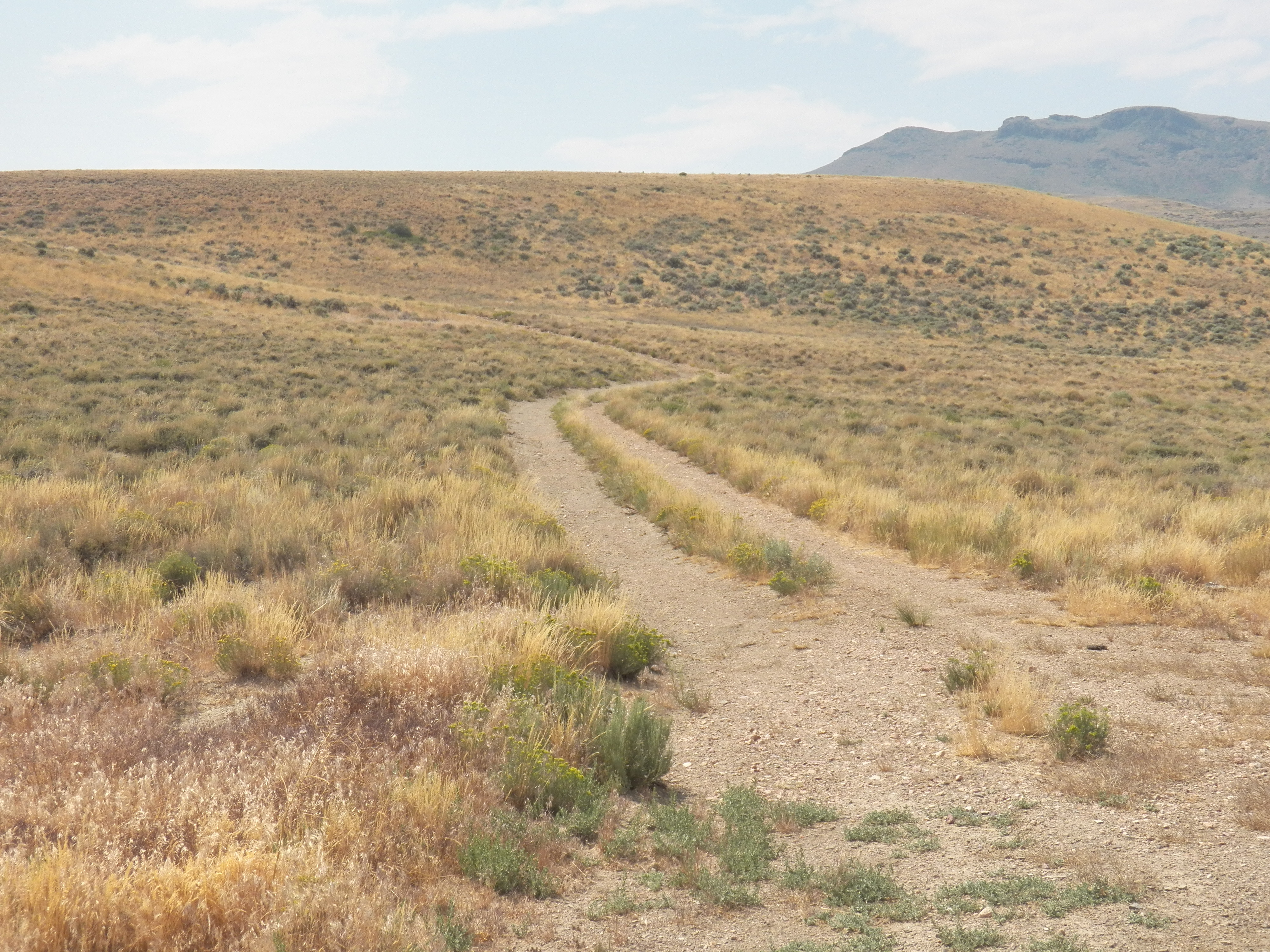 Member content 8 of 9