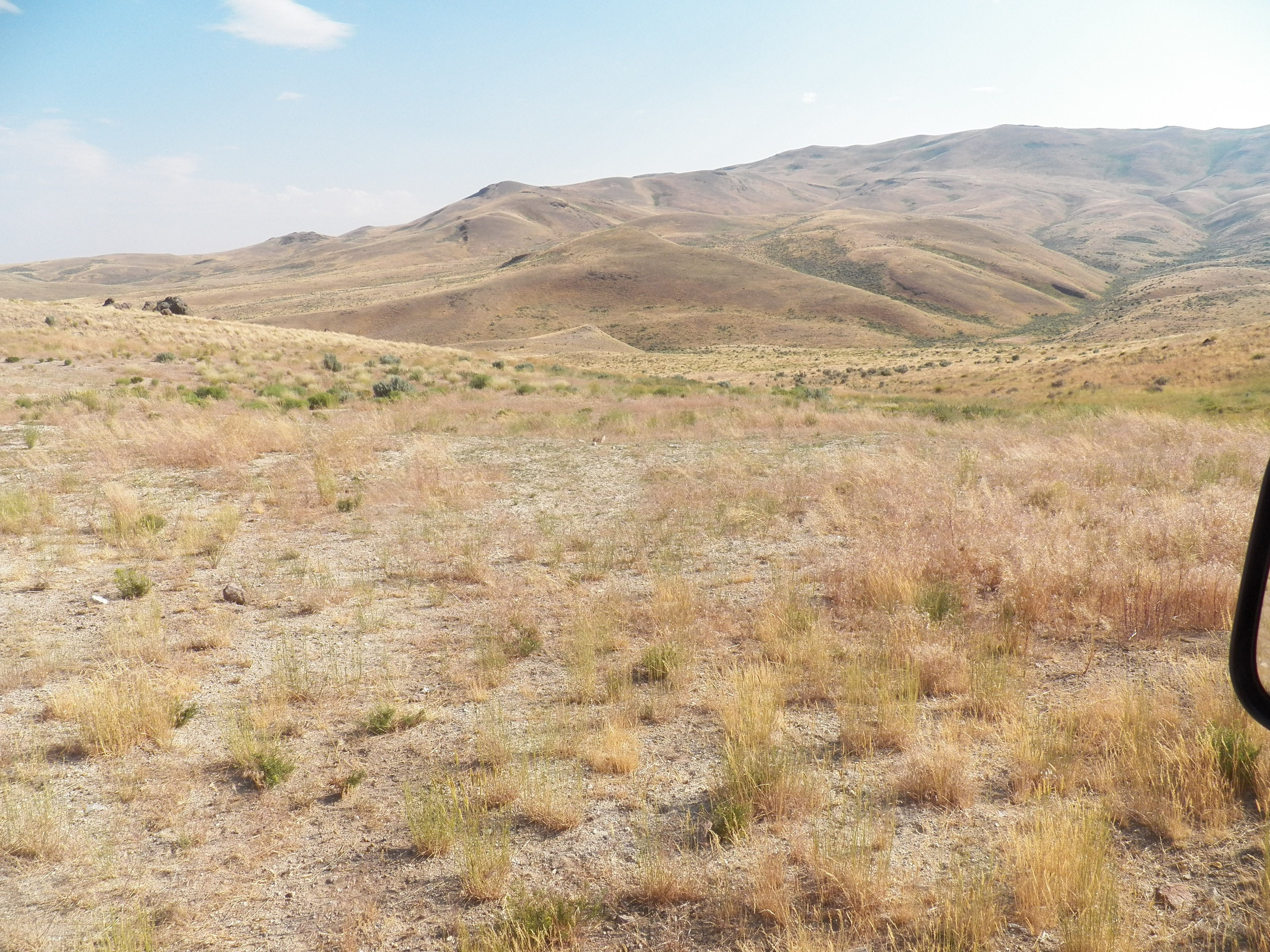 Member content 9 of 9