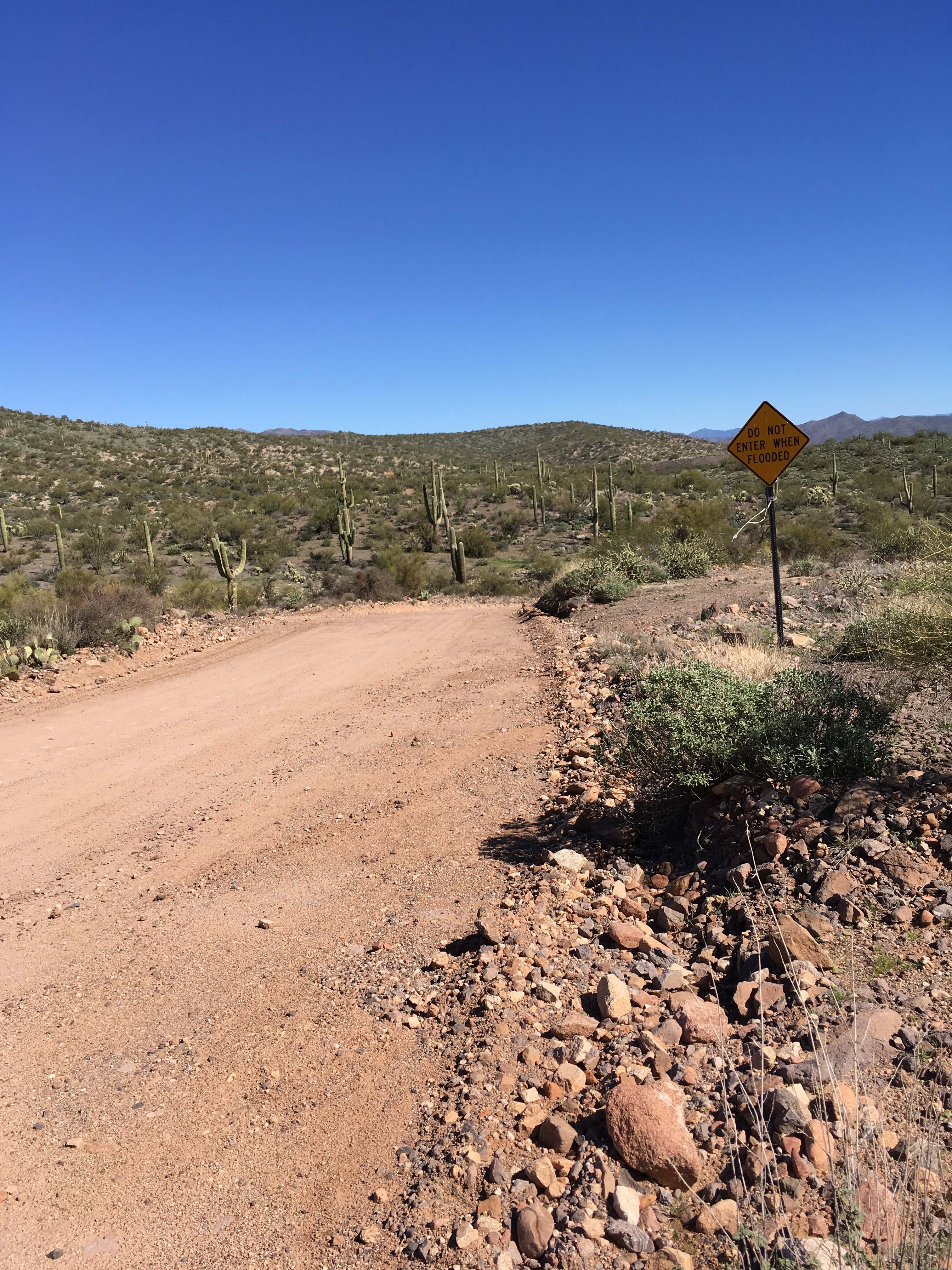 Member content 8 of 13