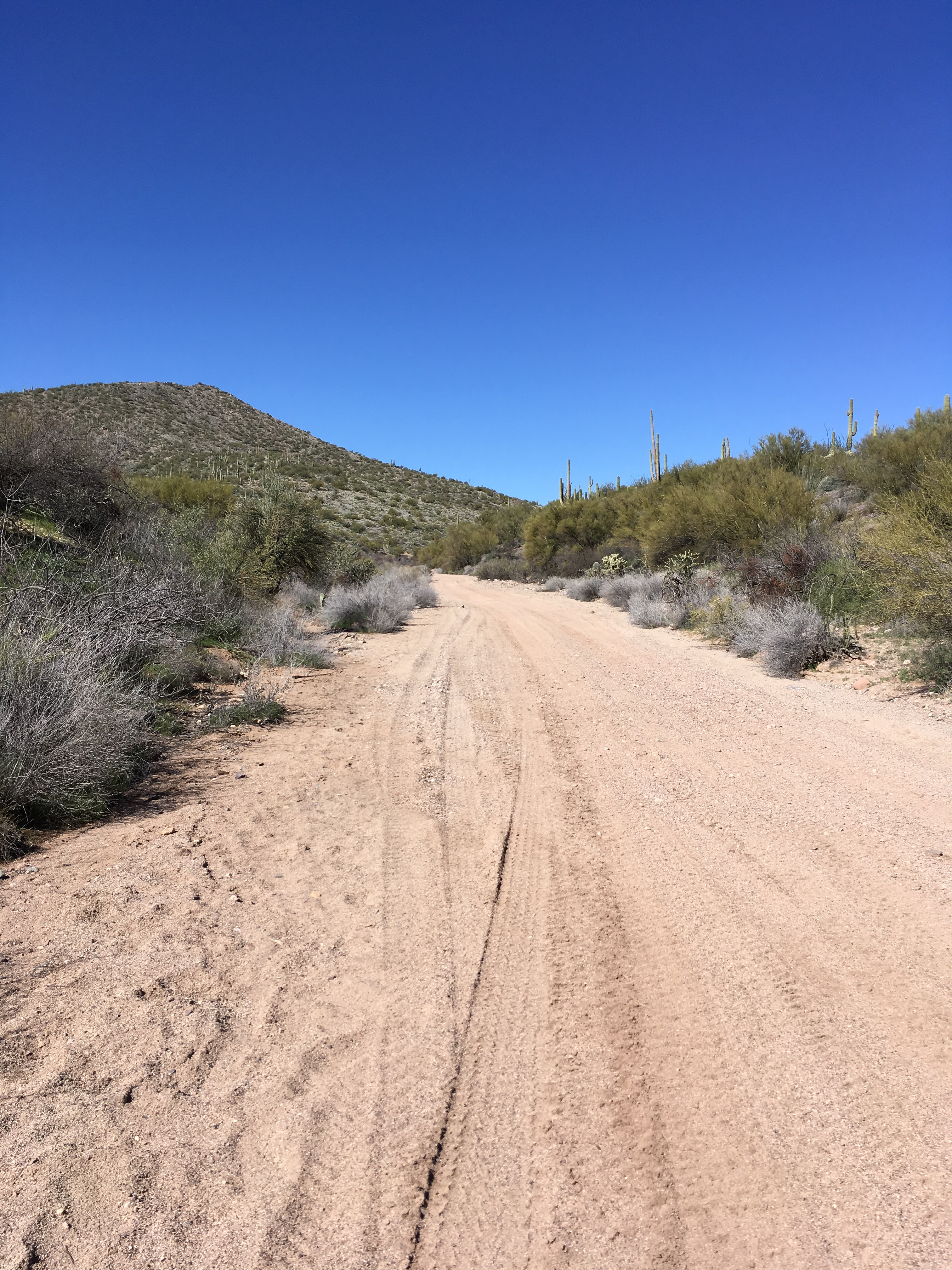 Member content 9 of 13