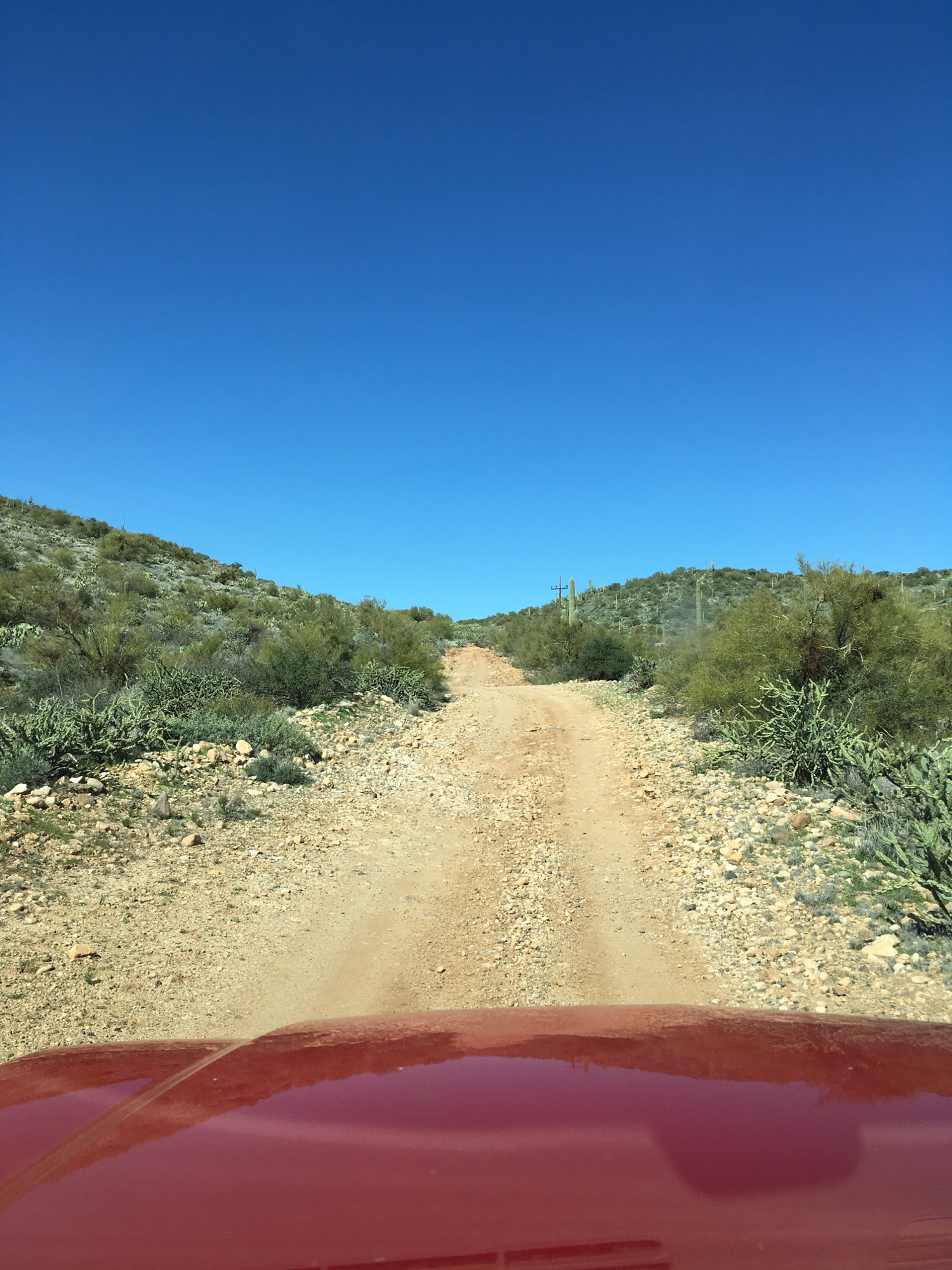 Member content 10 of 13