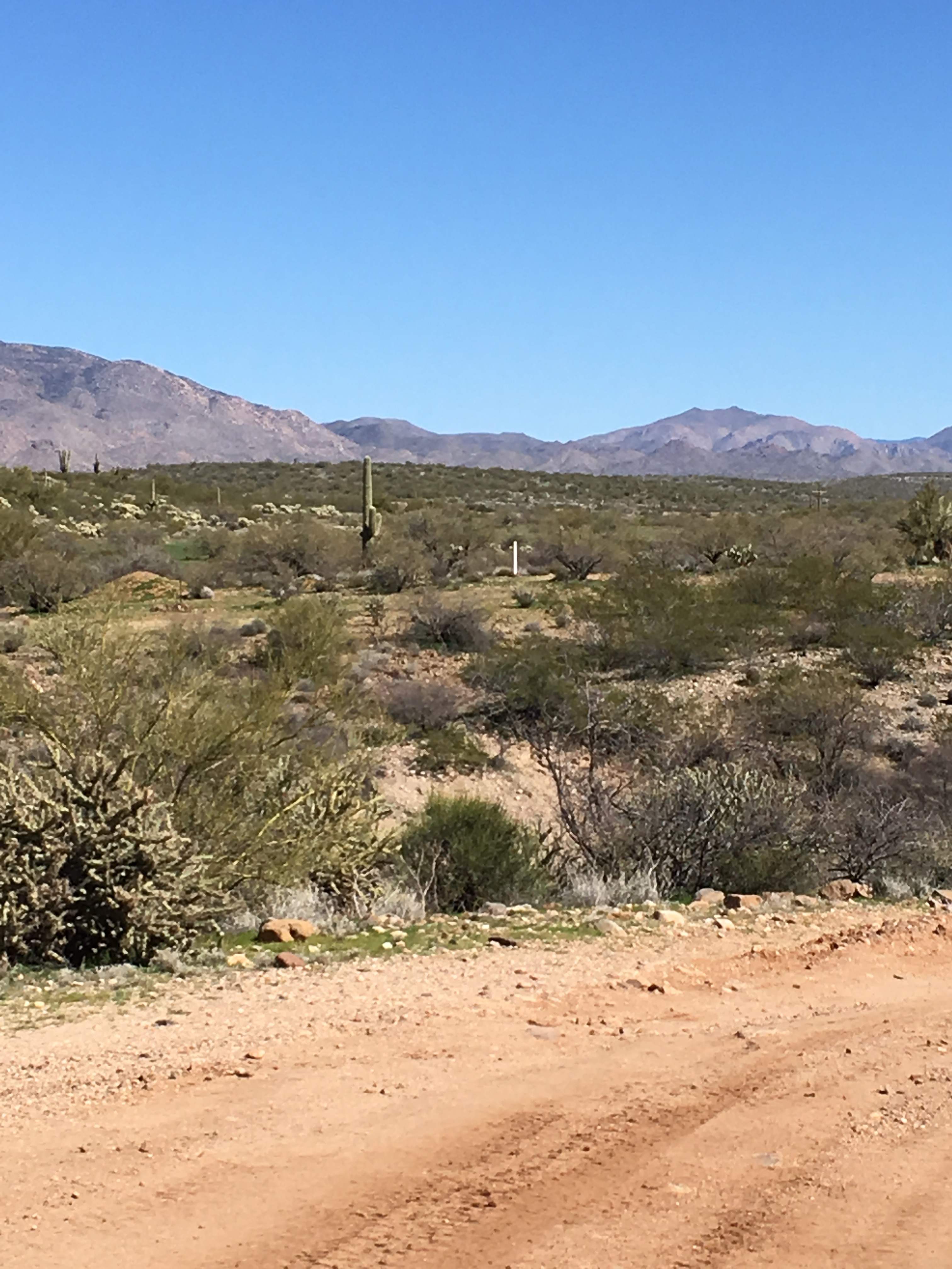 Member content 11 of 13