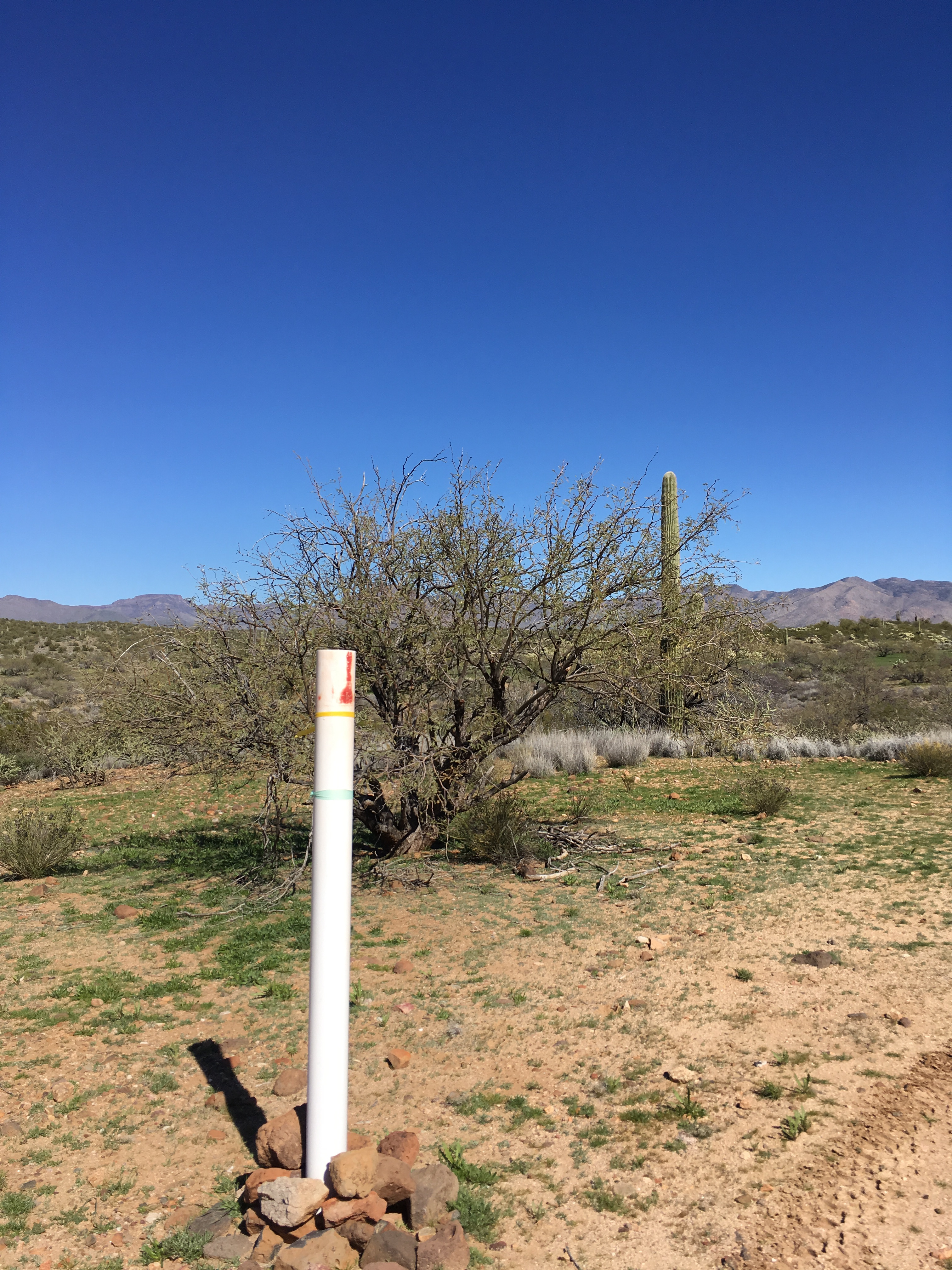 Member content 12 of 13