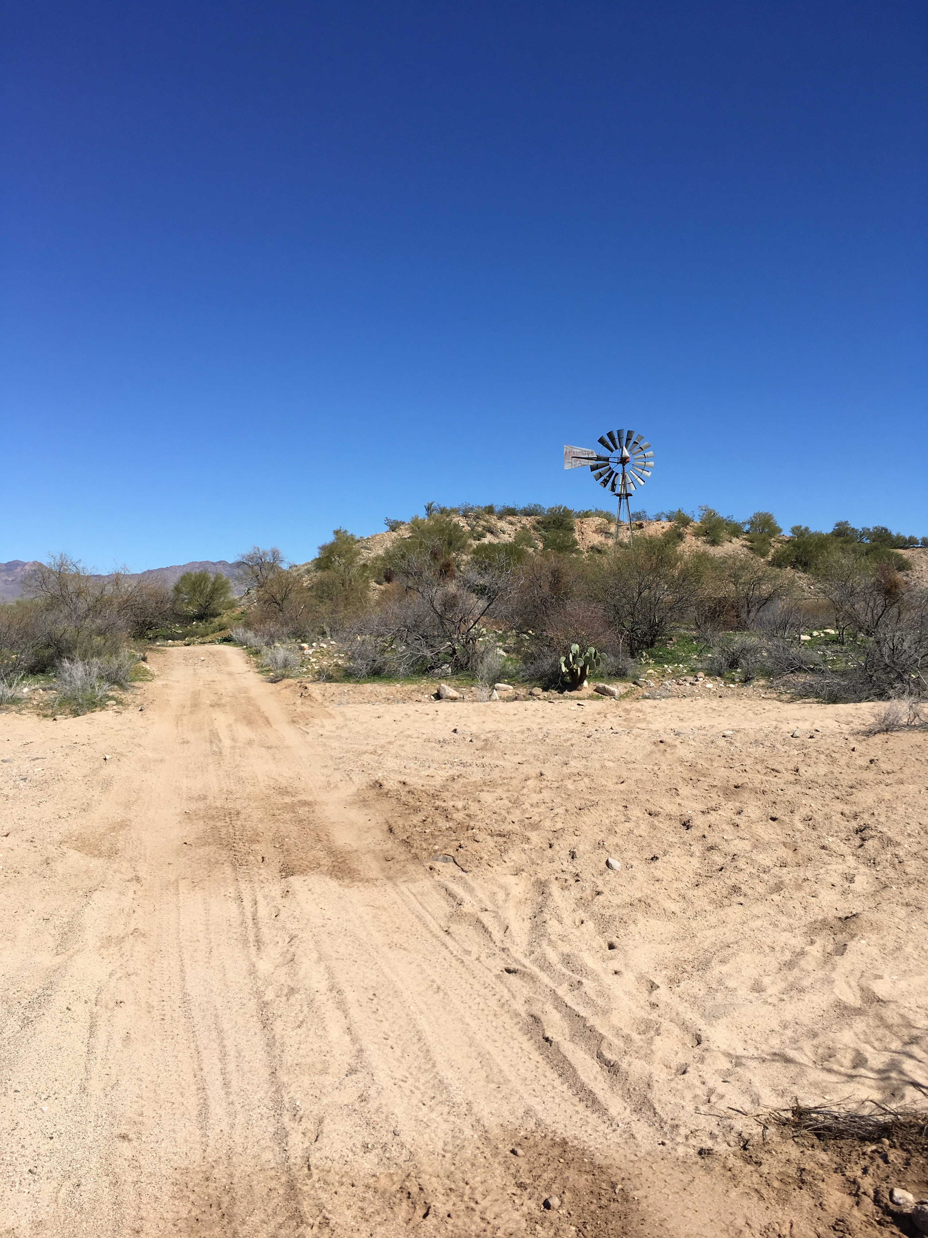 Member content 13 of 13