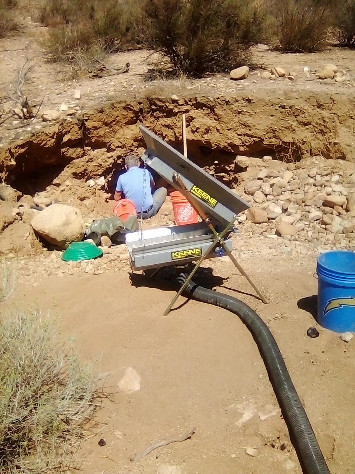 Member content 90 of 97