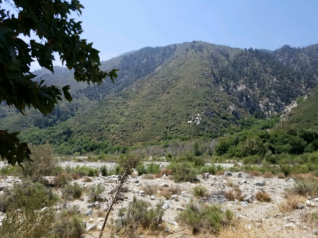 Member content 31 of 33