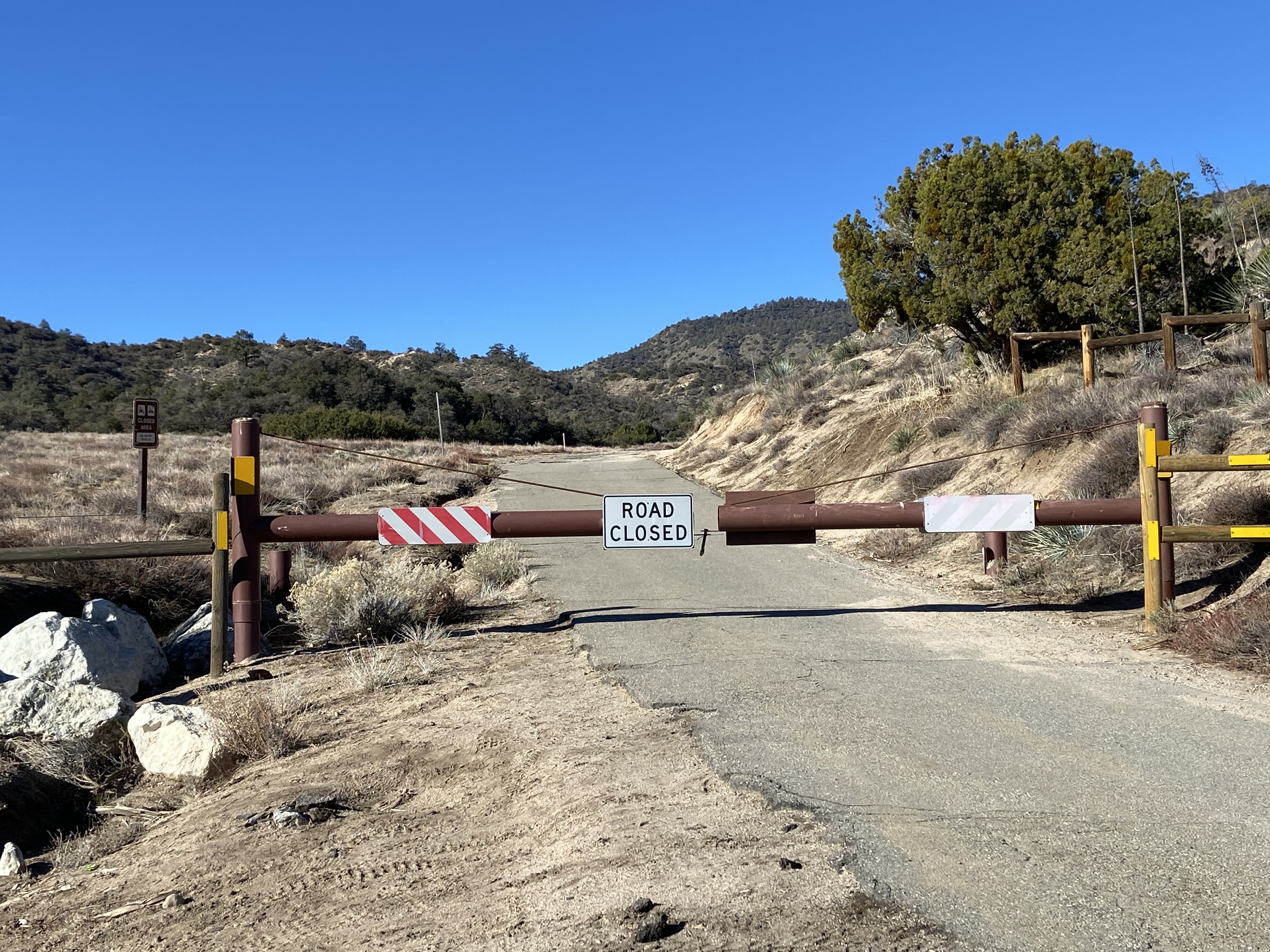 Member content 25 of 27