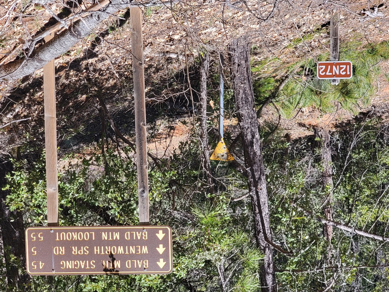 Member content 10 of 11