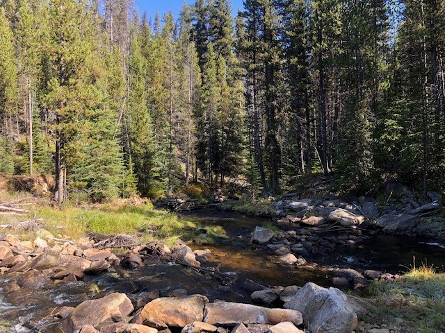 Member content 3 of 3